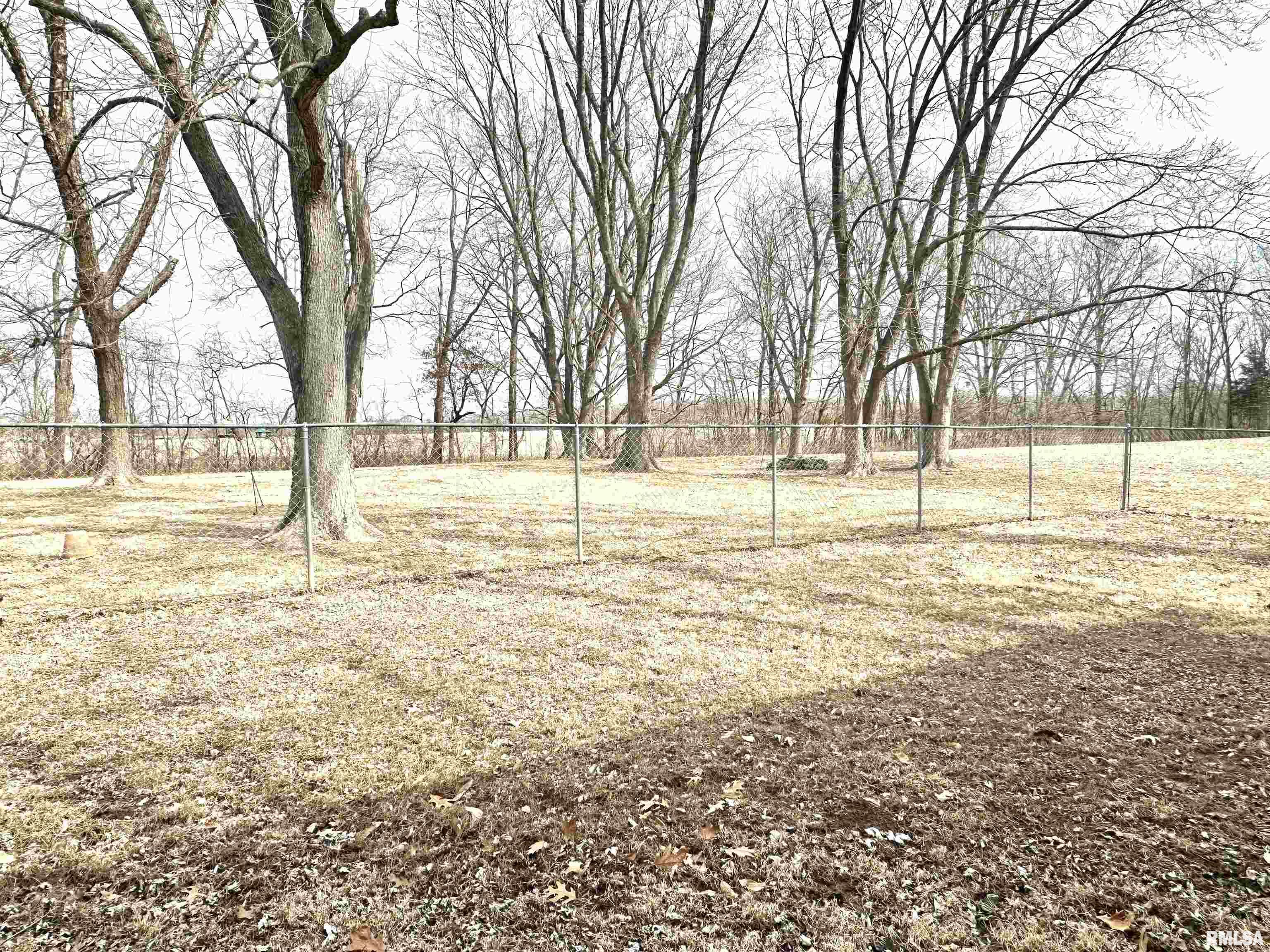 2470 Summer Time Road Kell, IL 62853 - Photo 6 of 17