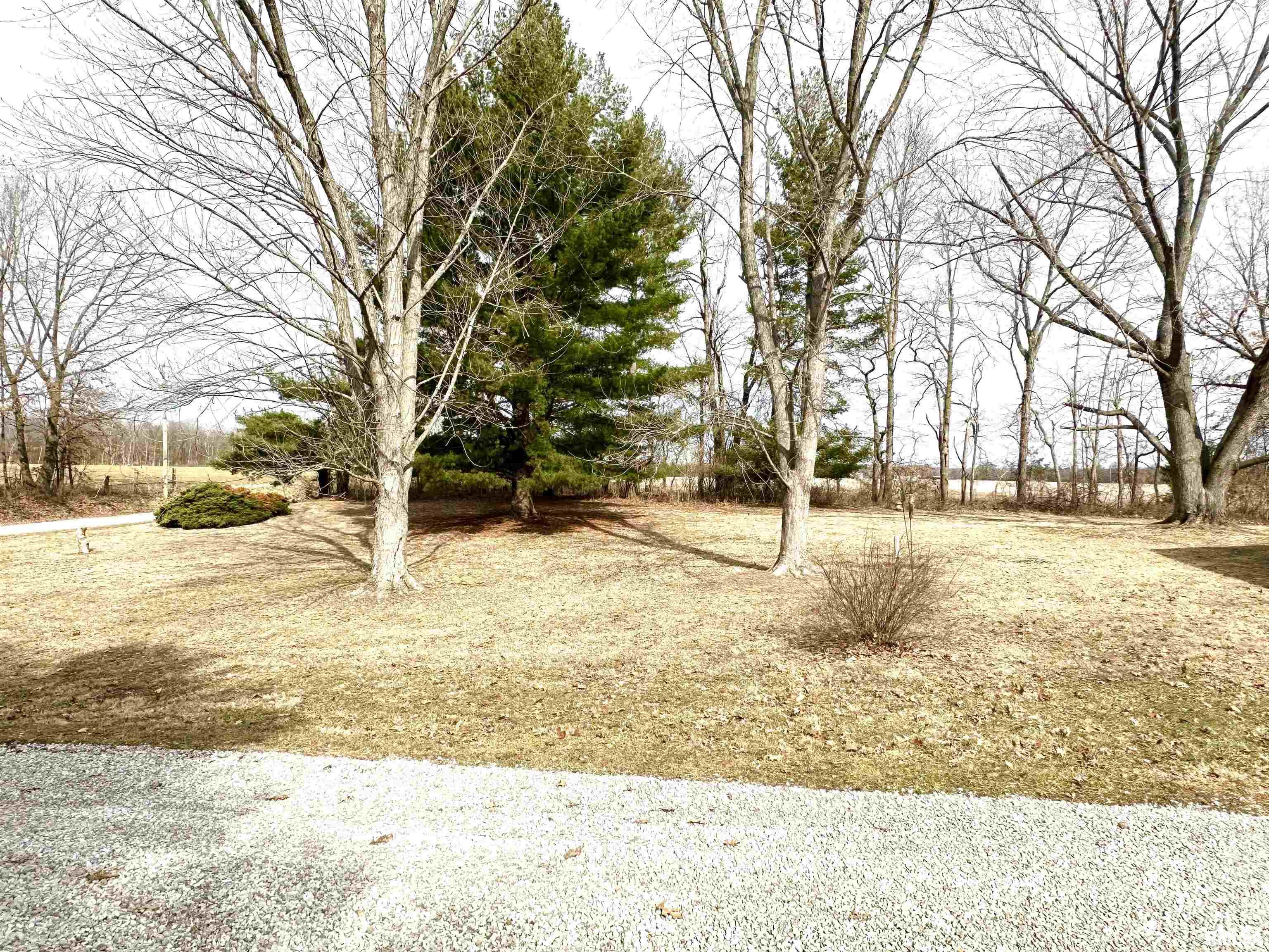 2470 Summer Time Road Kell, IL 62853 - Photo 7 of 17