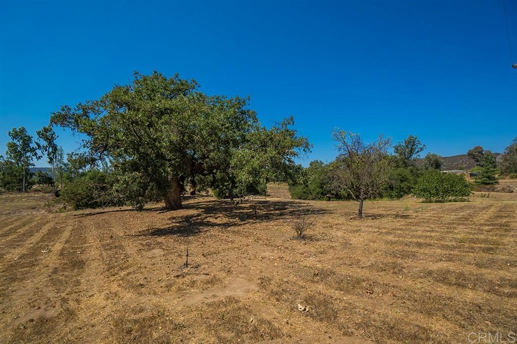 1748 Pine Street Ramona, CA 92065 - Photo 18 of 22