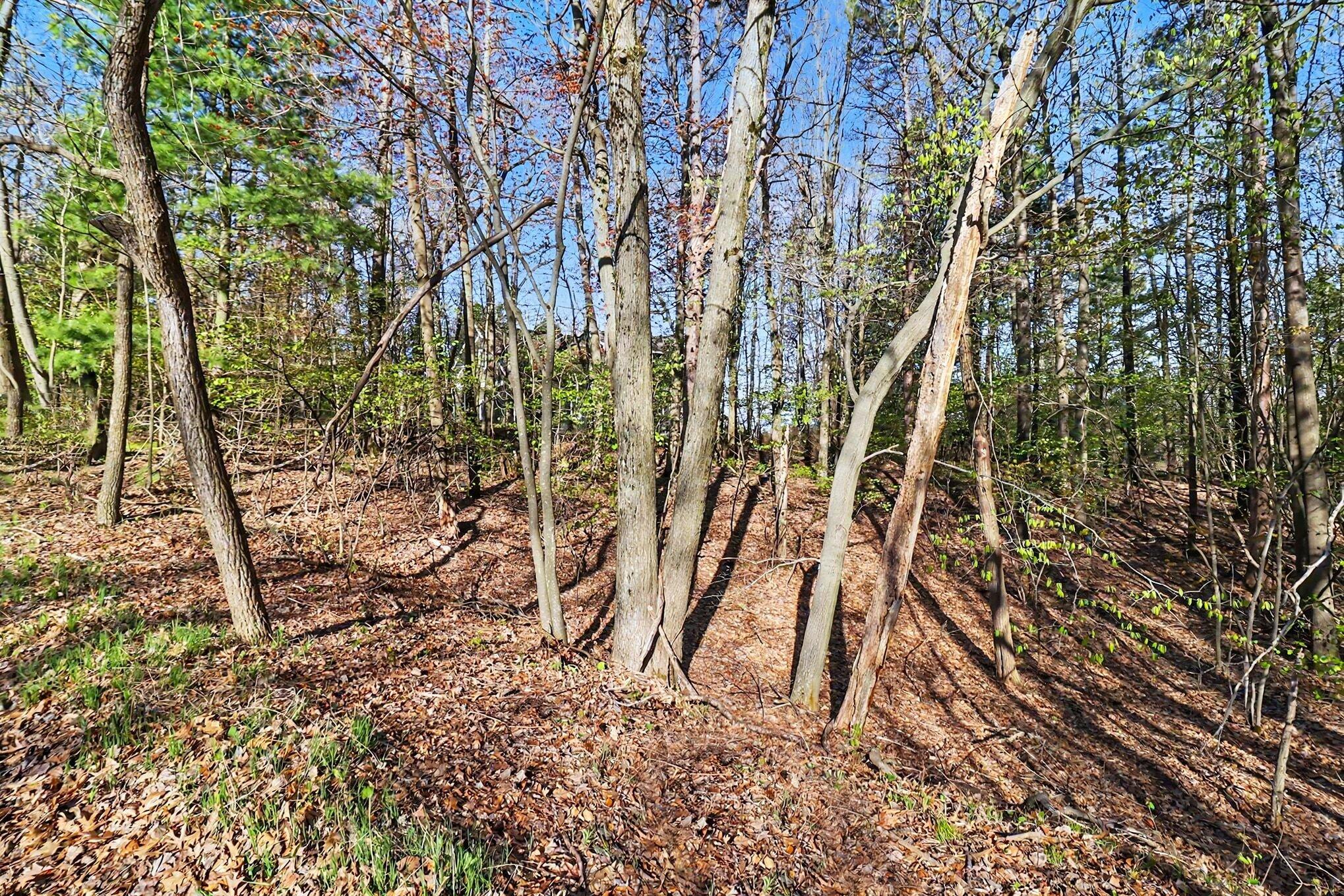 Lot 11 North Silver Ridge Road Mears, MI 49436 - Photo 4 of 25 file_5601