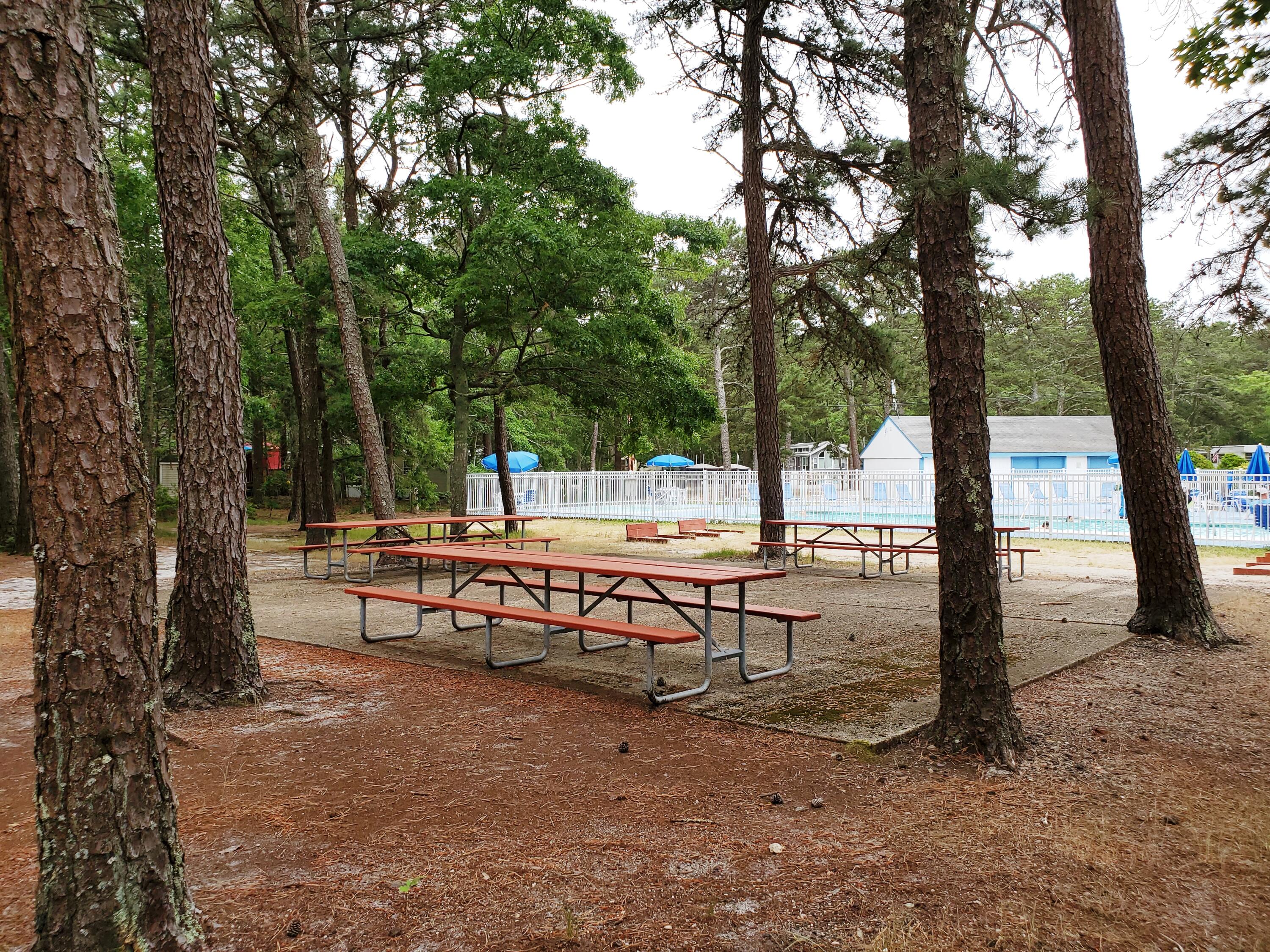 310 Old Chatham Road, Unit H12 South Dennis, MA 02660 - Photo 21 of 55 a view of park benches sitting below a tree