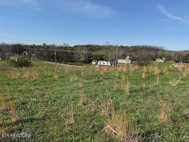 Lot 2 Mcdonald Road Midway, TN 37809 - Photo 6 of 7 IMG_0425