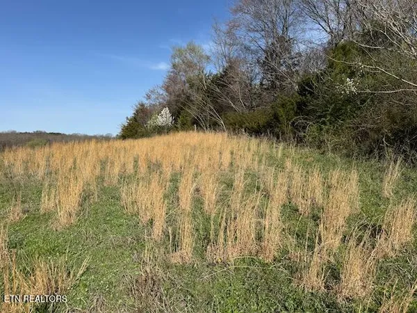 $38,000 | Lot 2 Mcdonald Road, Midway, TN 37809