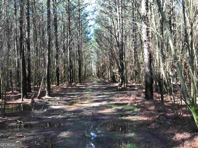 $435,372 | 0 Covington Bridge Road, Unit 9619, Fairmount, GA 30701