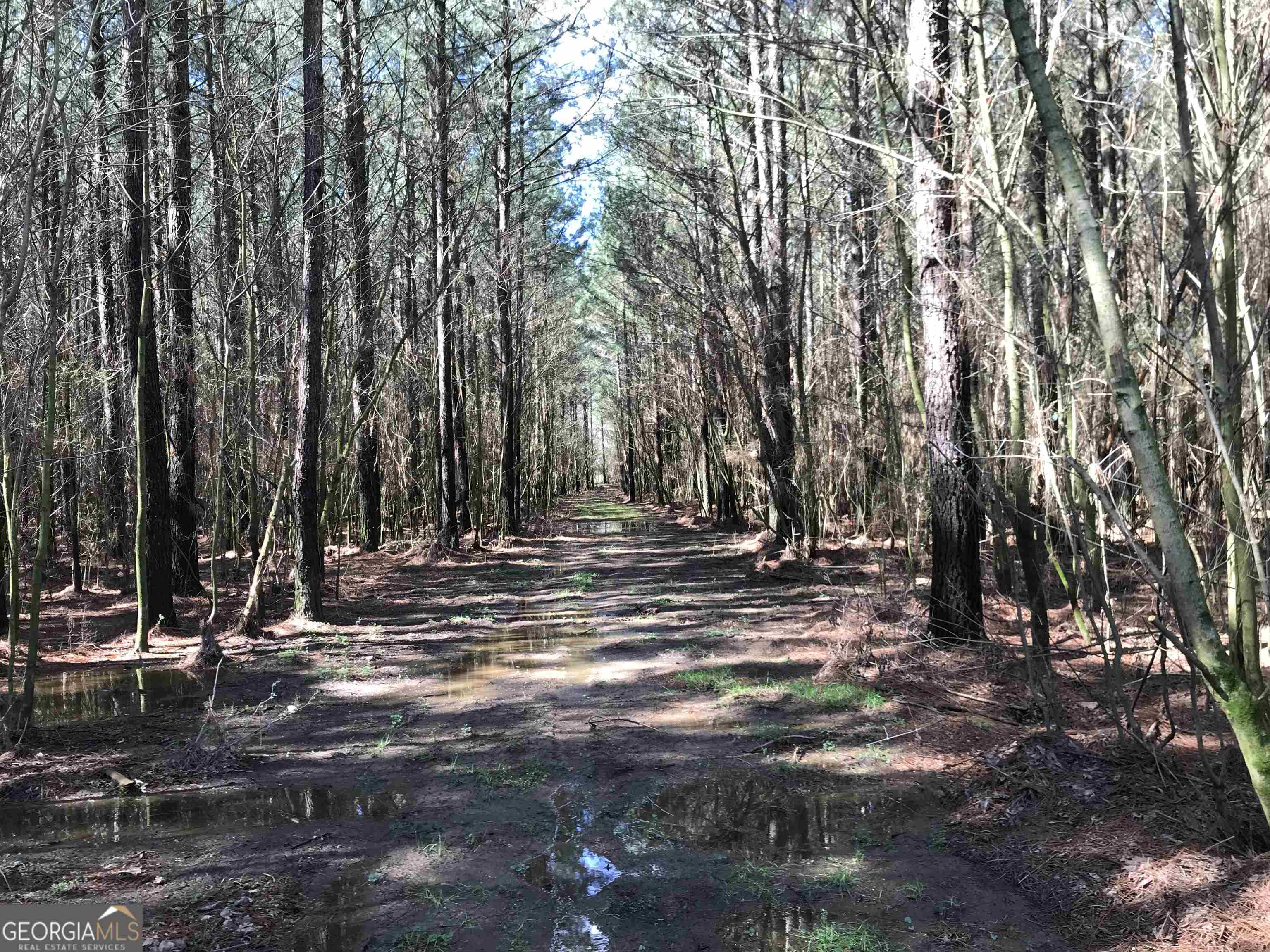 0 Covington Bridge Road, Unit 9619 Fairmount, GA 30701 - Photo 11 of 29