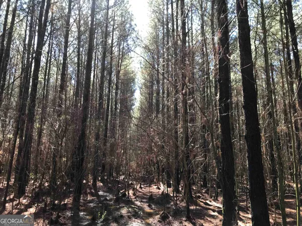 $435,372 | 0 Covington Bridge Road, Unit 9619, Fairmount, GA 30701