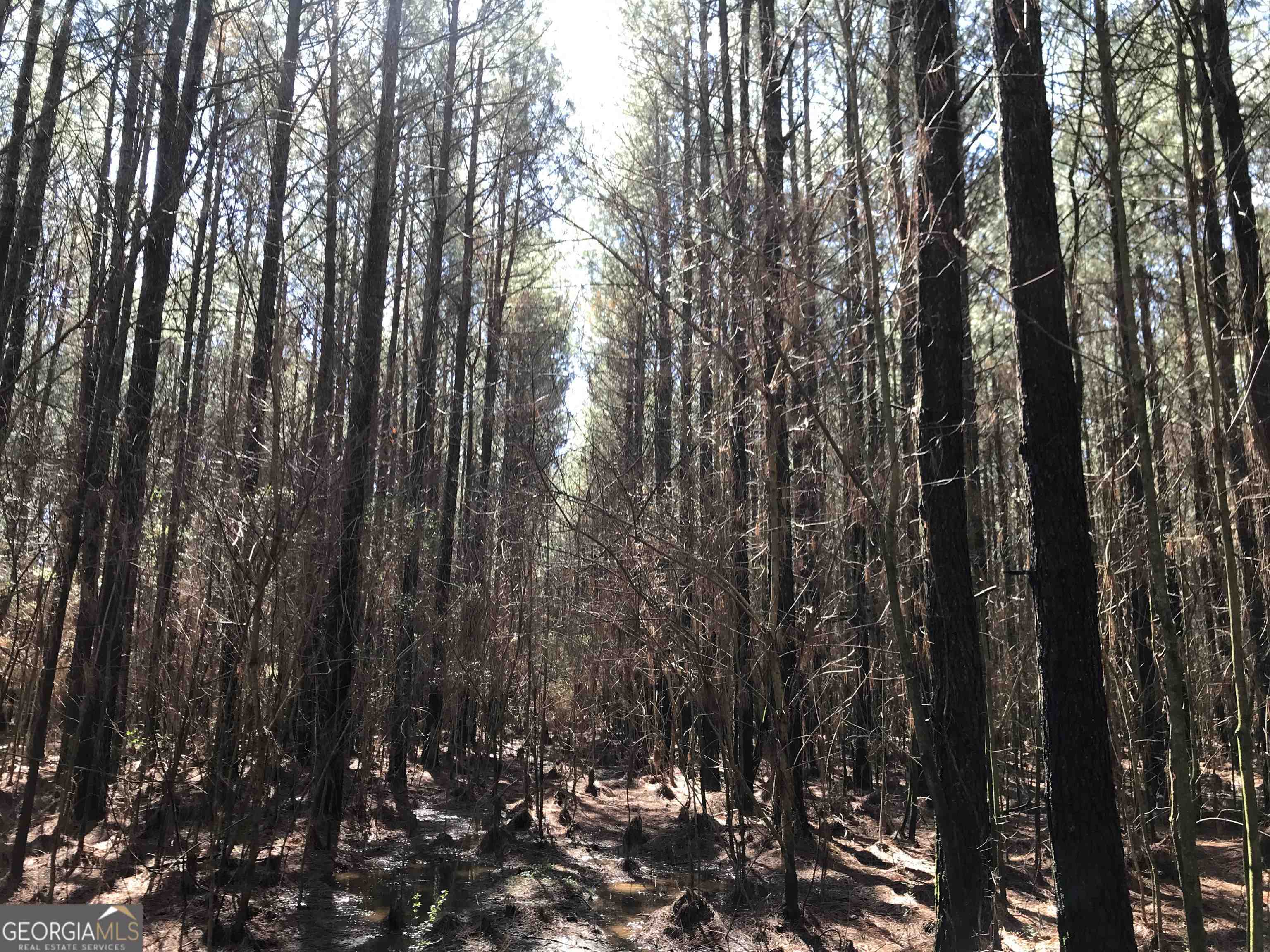 0 Covington Bridge Road, Unit 9619 Fairmount, GA 30701 - Photo 12 of 29