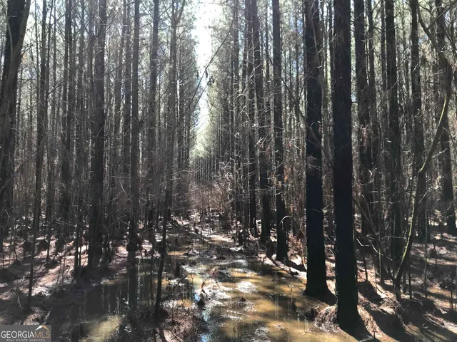 $435,372 | 0 Covington Bridge Road, Unit 9619, Fairmount, GA 30701