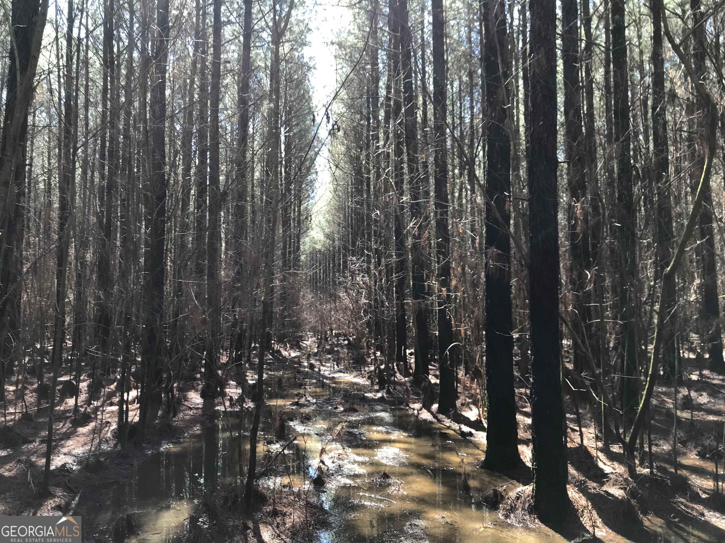 0 Covington Bridge Road, Unit 9619 Fairmount, GA 30701 - Photo 13 of 29