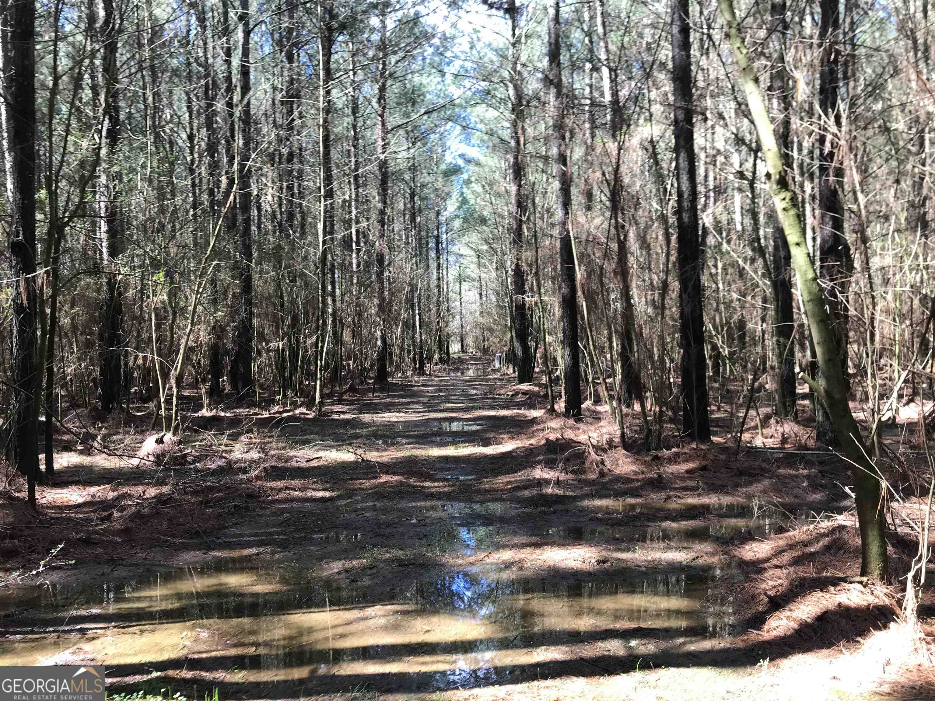 0 Covington Bridge Road, Unit 9619 Fairmount, GA 30701 - Photo 14 of 29