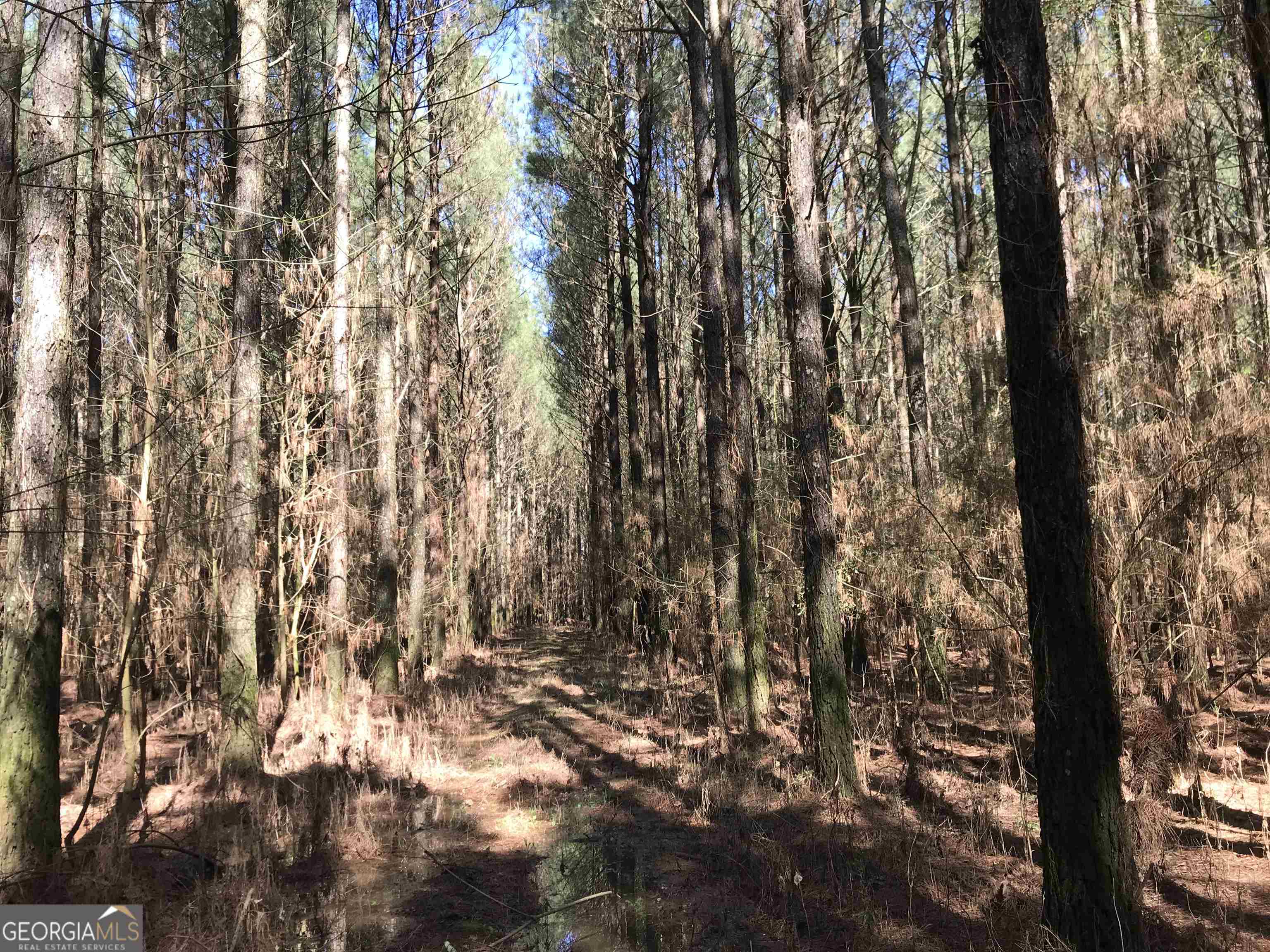 0 Covington Bridge Road, Unit 9619 Fairmount, GA 30701 - Photo 15 of 29