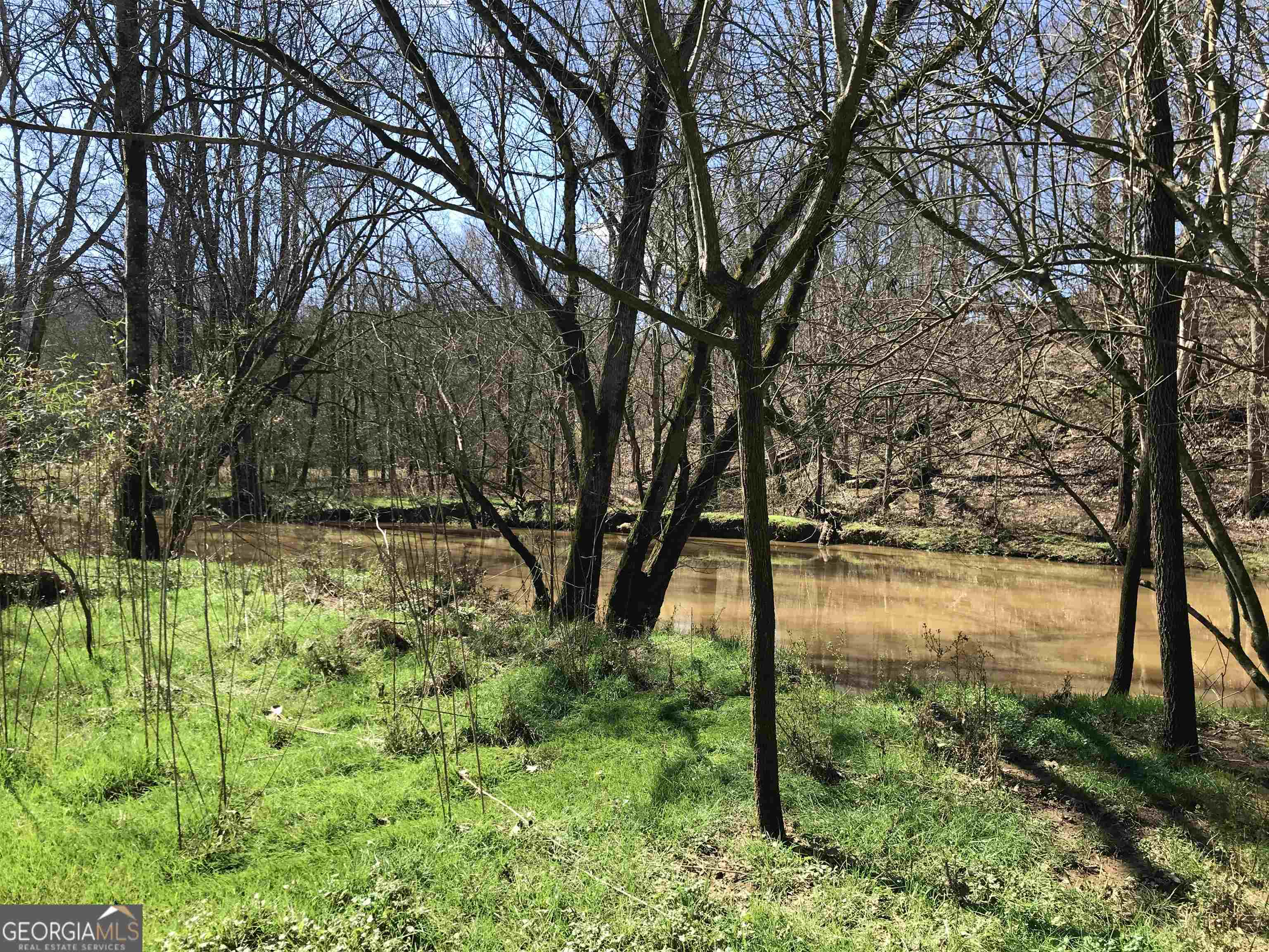 0 Covington Bridge Road, Unit 9619 Fairmount, GA 30701 - Photo 16 of 29