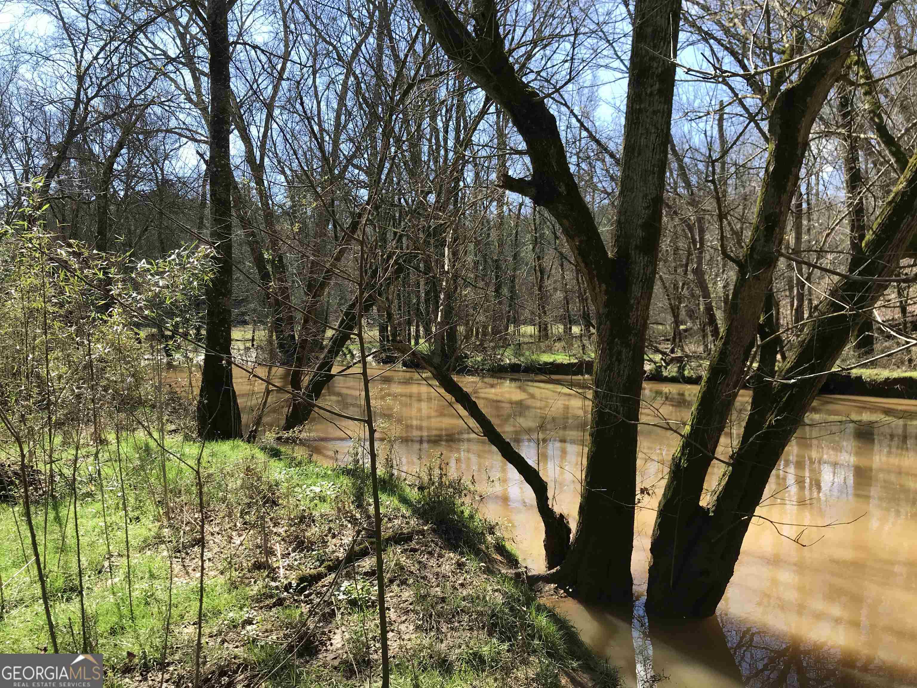 0 Covington Bridge Road, Unit 9619 Fairmount, GA 30701 - Photo 17 of 29