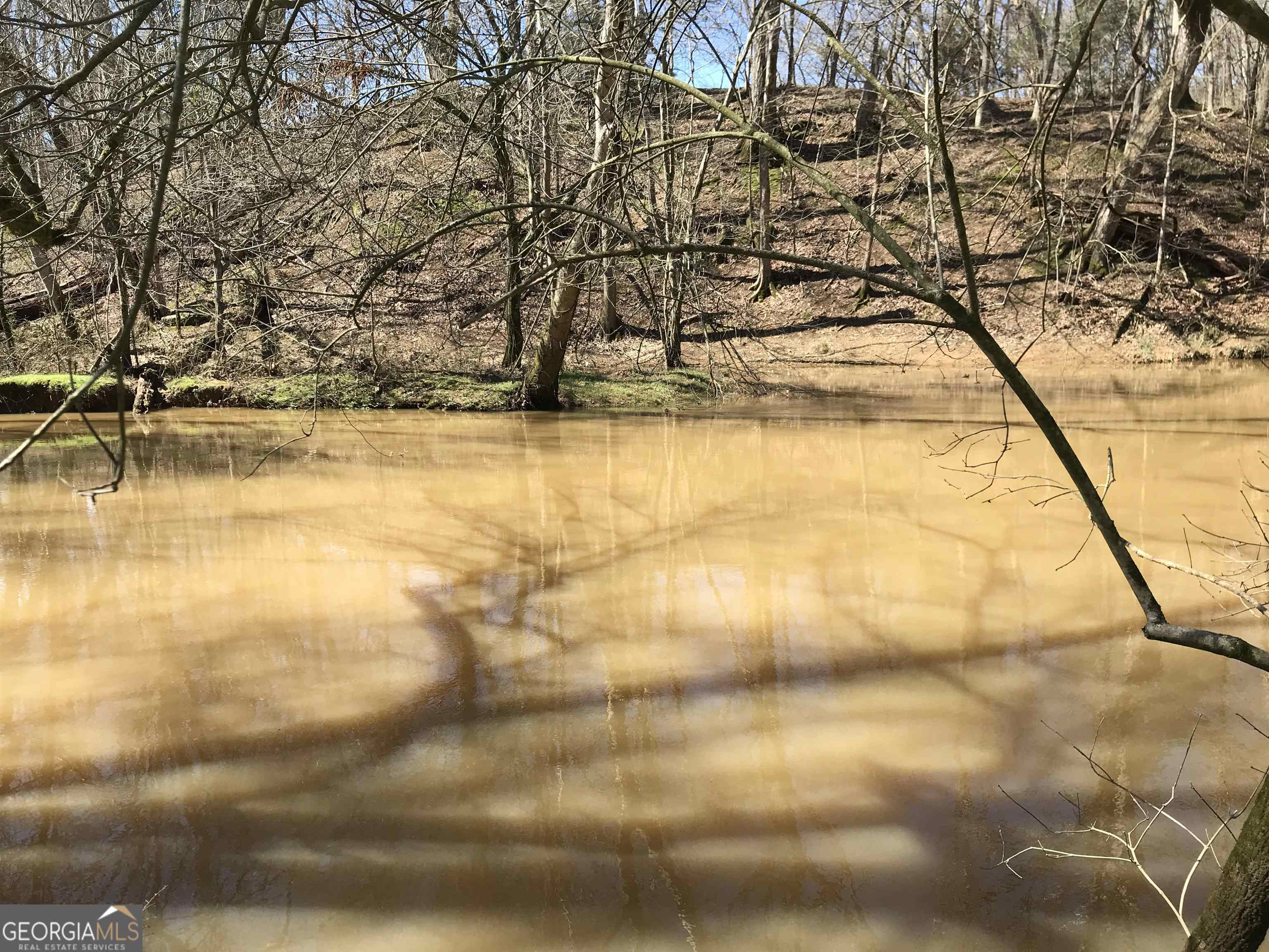 0 Covington Bridge Road, Unit 9619 Fairmount, GA 30701 - Photo 18 of 29