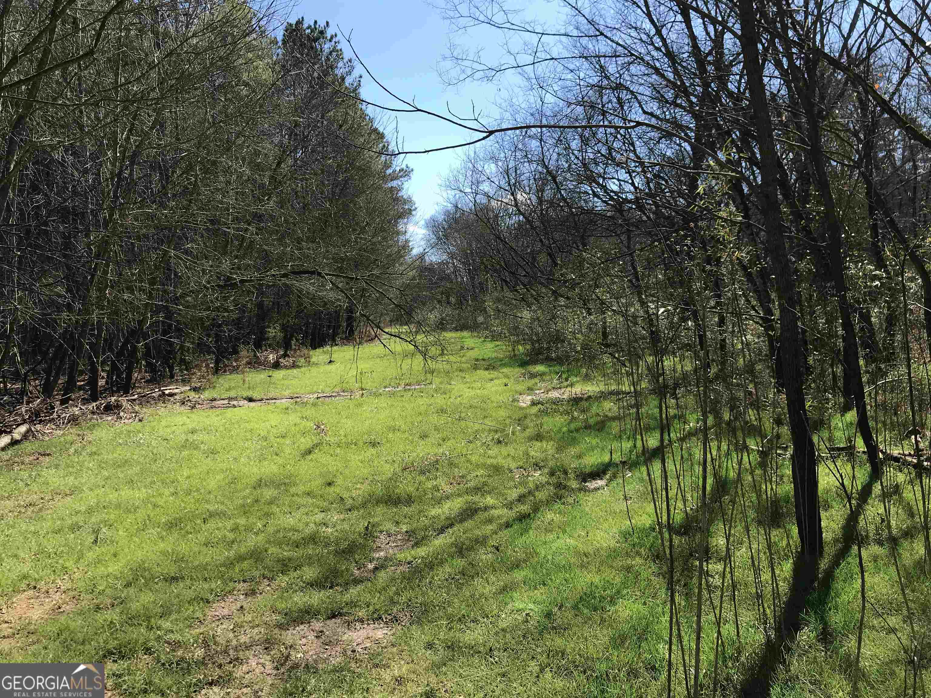 0 Covington Bridge Road, Unit 9619 Fairmount, GA 30701 - Photo 19 of 29