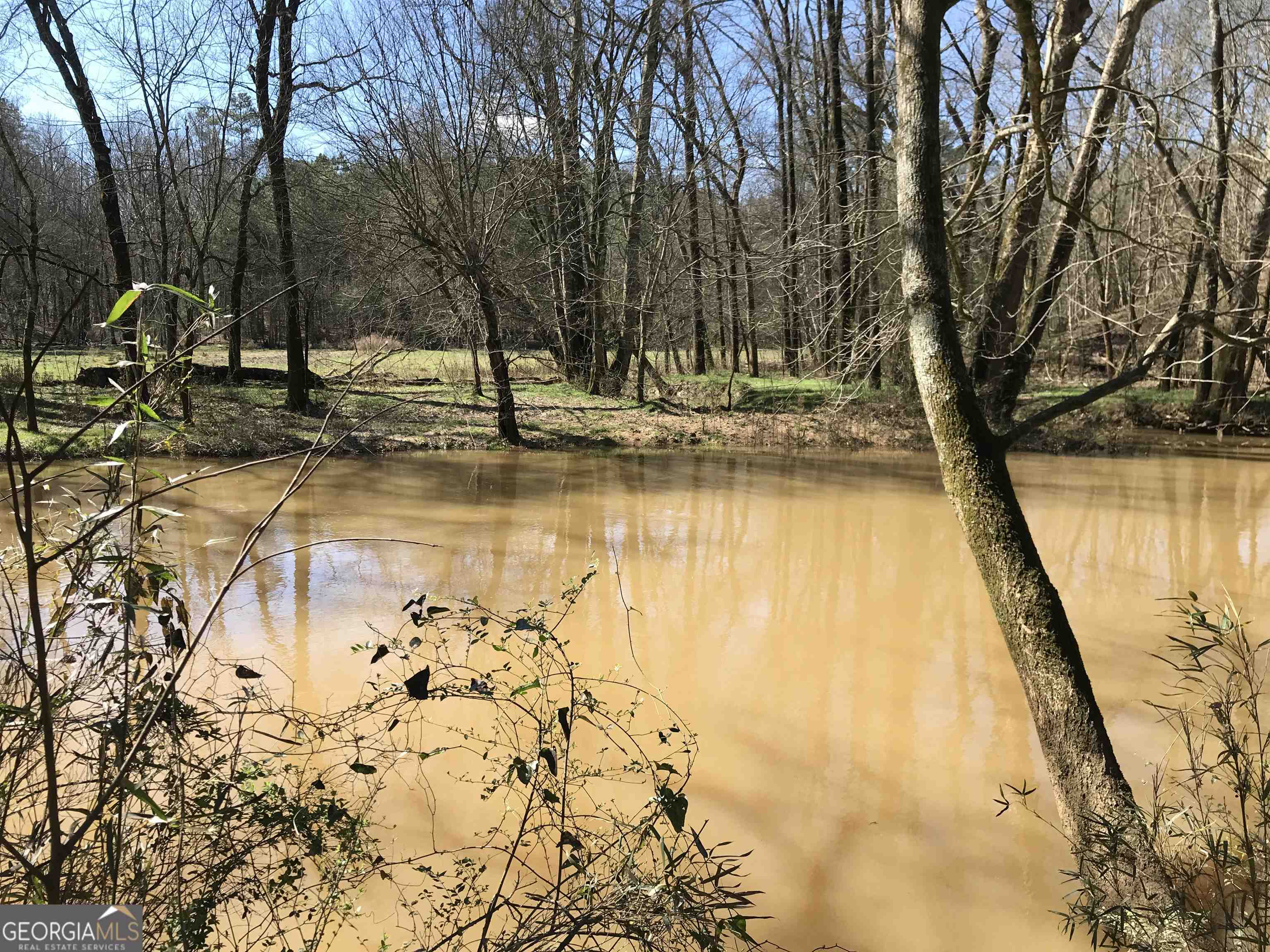 0 Covington Bridge Road, Unit 9619 Fairmount, GA 30701 - Photo 20 of 29