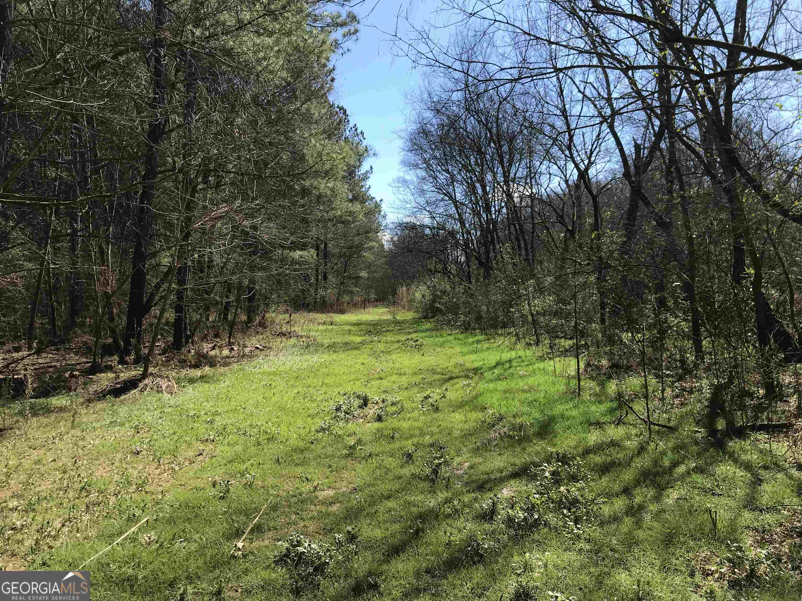 0 Covington Bridge Road, Unit 9619 Fairmount, GA 30701 - Photo 21 of 29