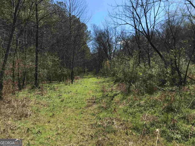 $435,372 | 0 Covington Bridge Road, Unit 9619, Fairmount, GA 30701