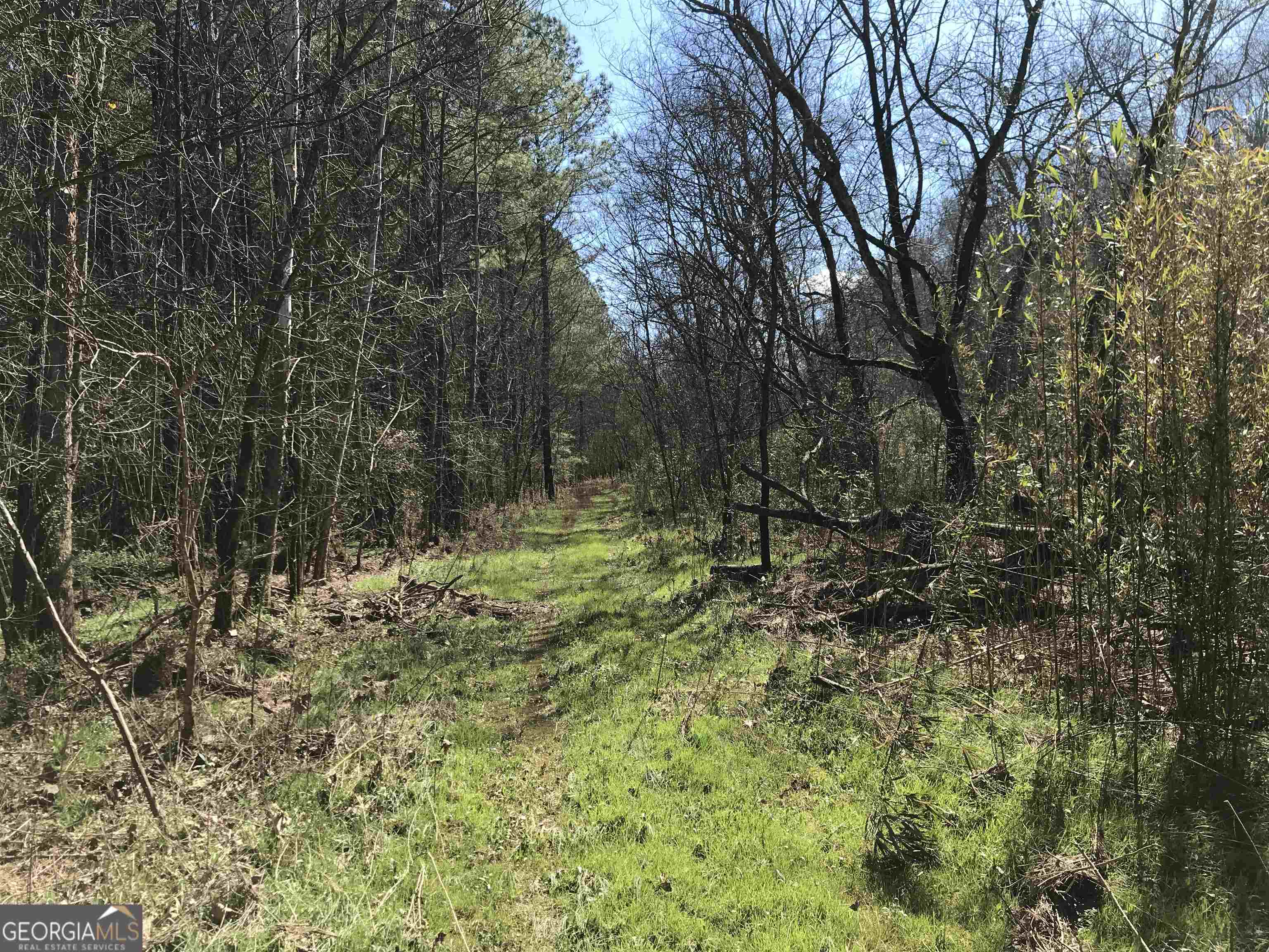 0 Covington Bridge Road, Unit 9619 Fairmount, GA 30701 - Photo 23 of 29