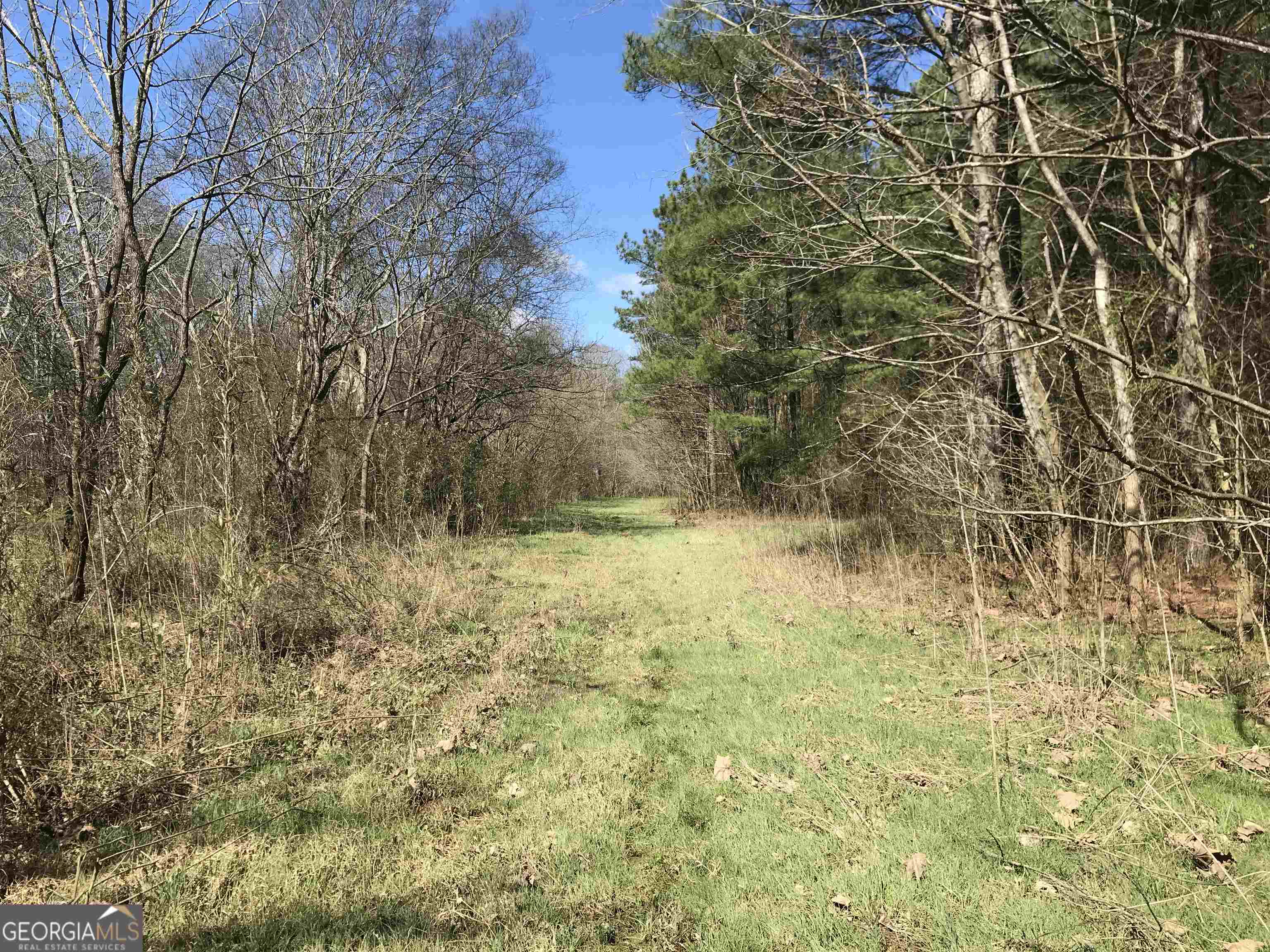 0 Covington Bridge Road, Unit 9619 Fairmount, GA 30701 - Photo 24 of 29