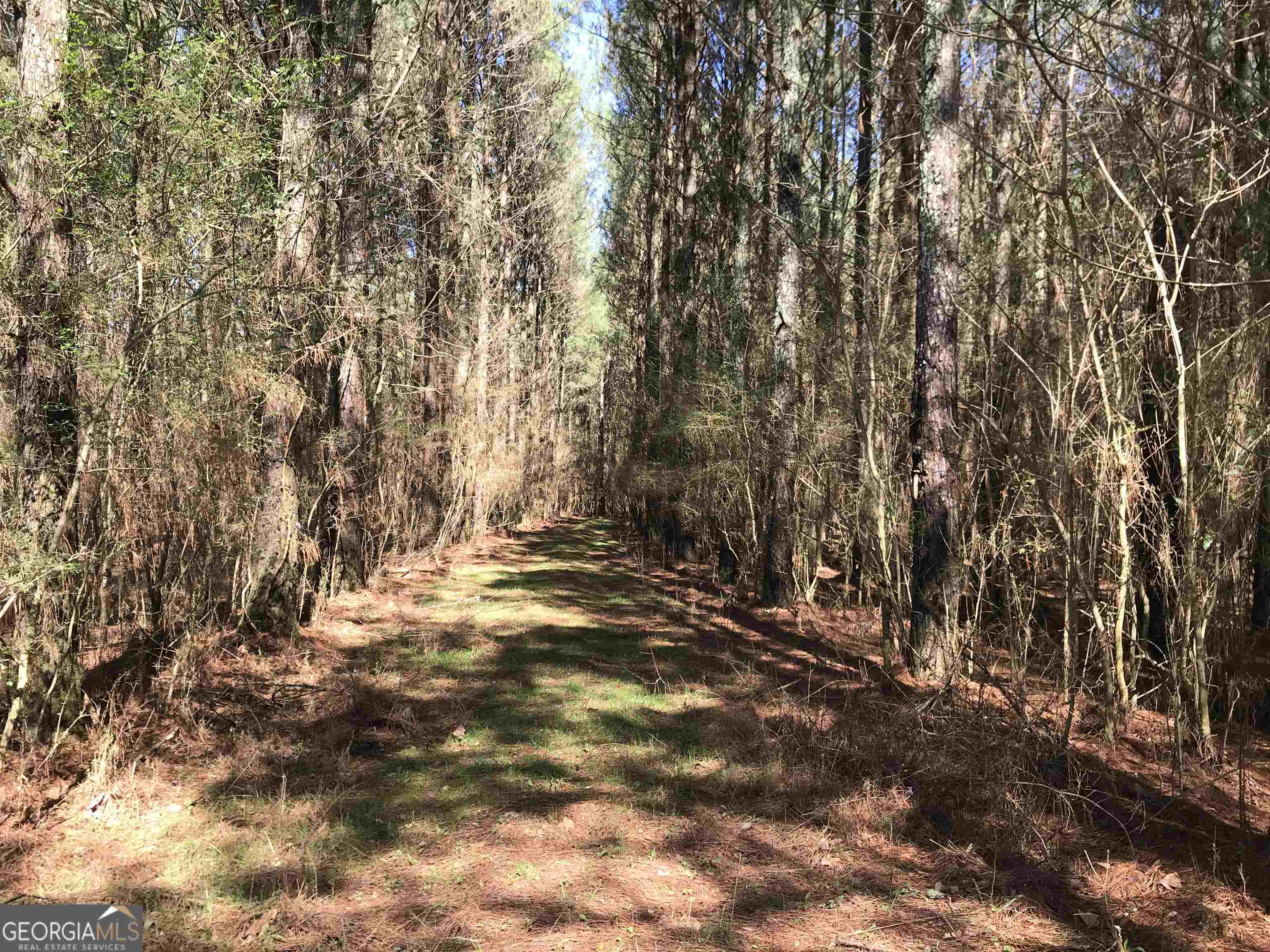 0 Covington Bridge Road, Unit 9619 Fairmount, GA 30701 - Photo 25 of 29