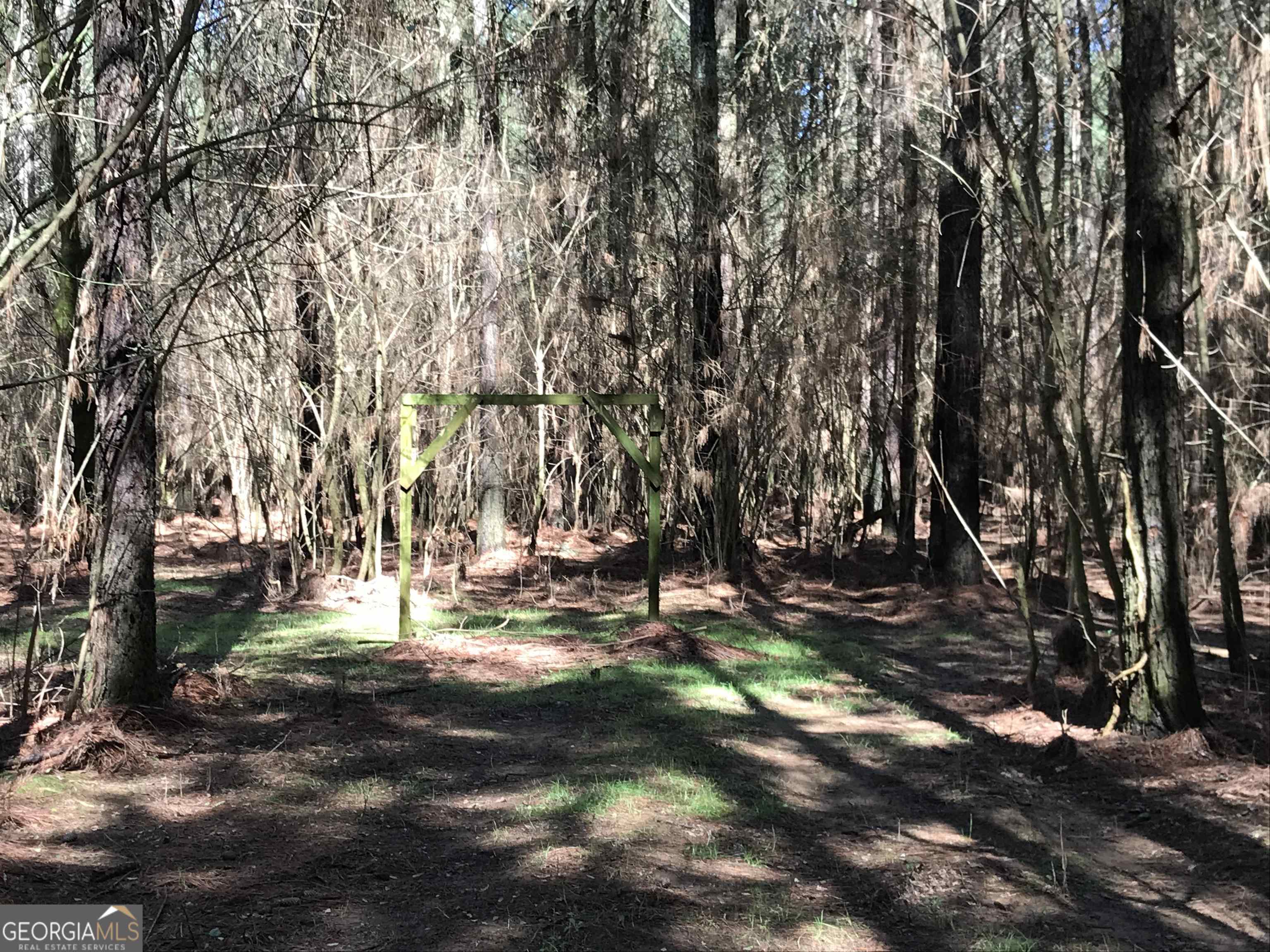 0 Covington Bridge Road, Unit 9619 Fairmount, GA 30701 - Photo 26 of 29