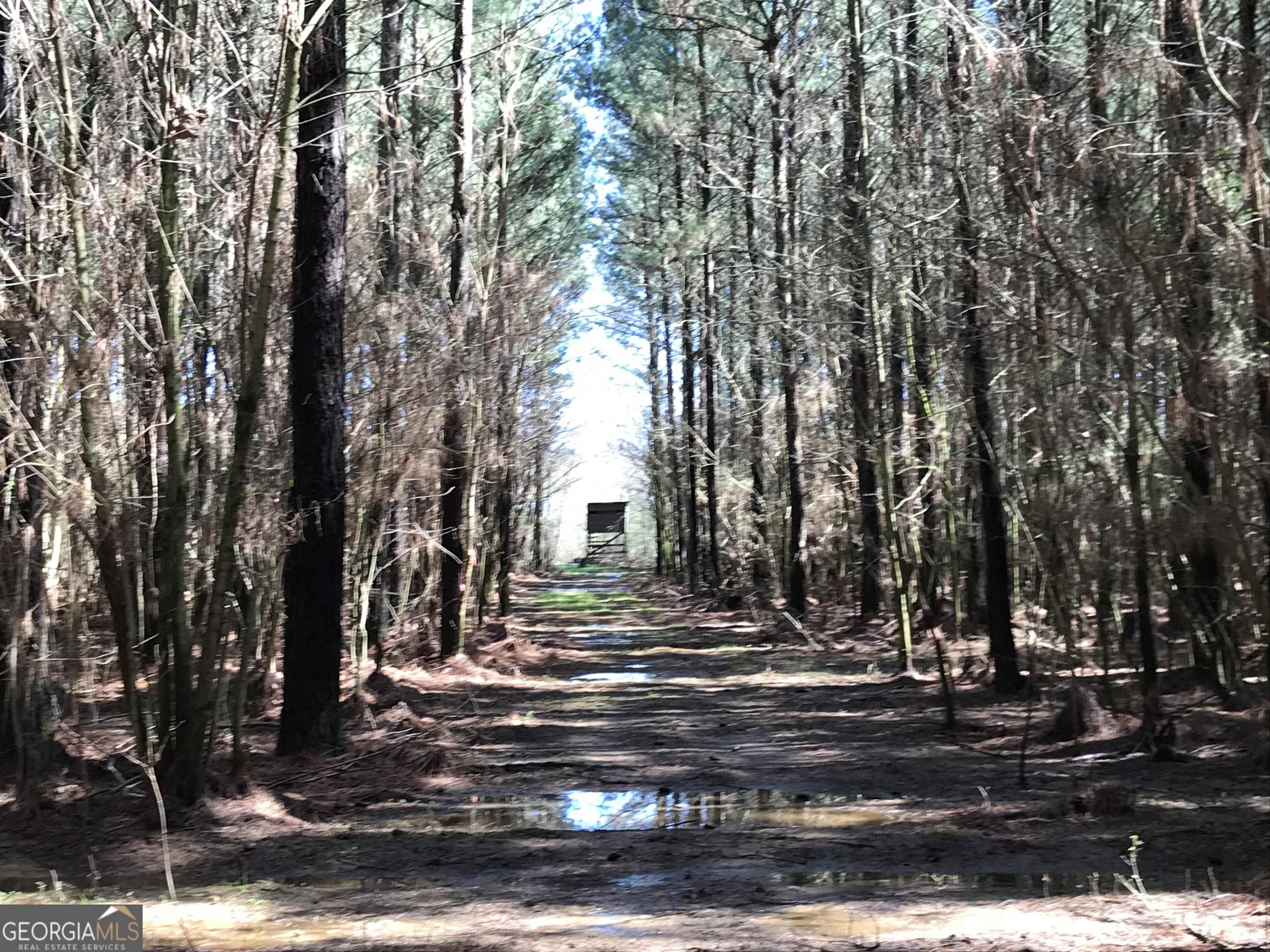 0 Covington Bridge Road, Unit 9619 Fairmount, GA 30701 - Photo 28 of 29