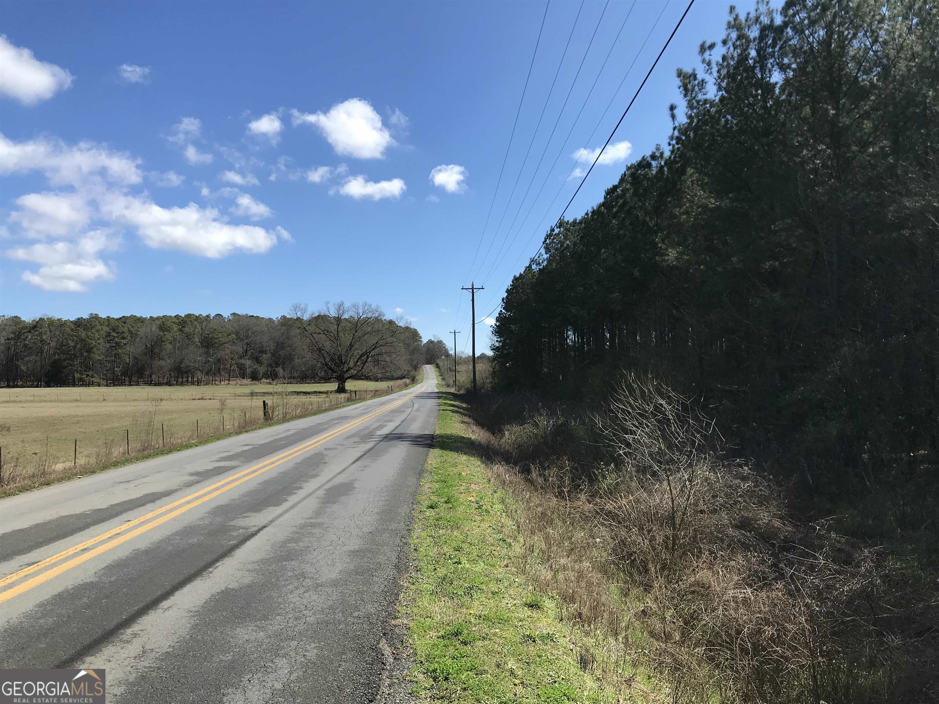 0 Covington Bridge Road, Unit 9619 Fairmount, GA 30701 - Photo 5 of 29