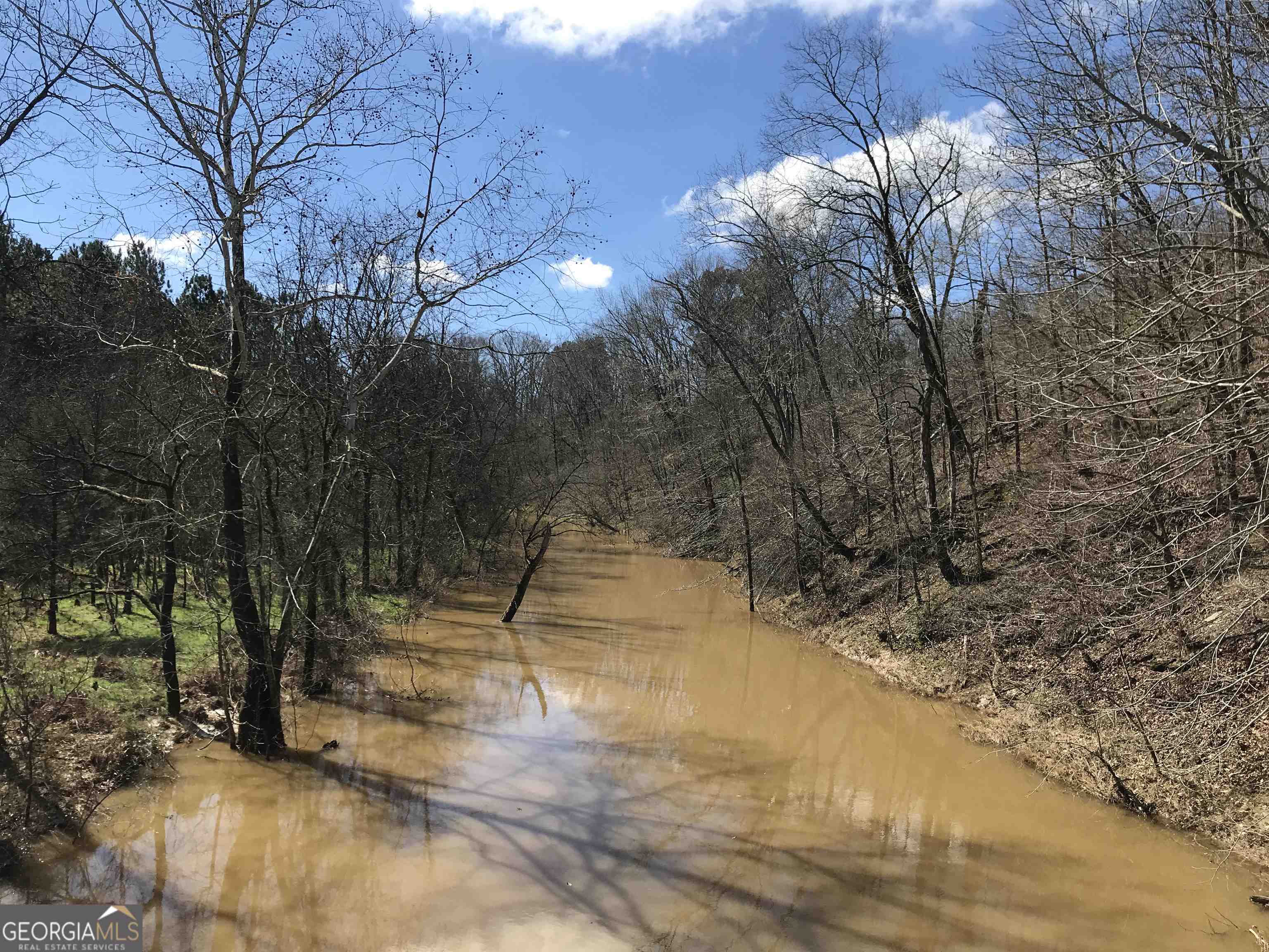 0 Covington Bridge Road, Unit 9619 Fairmount, GA 30701 - Photo 7 of 29