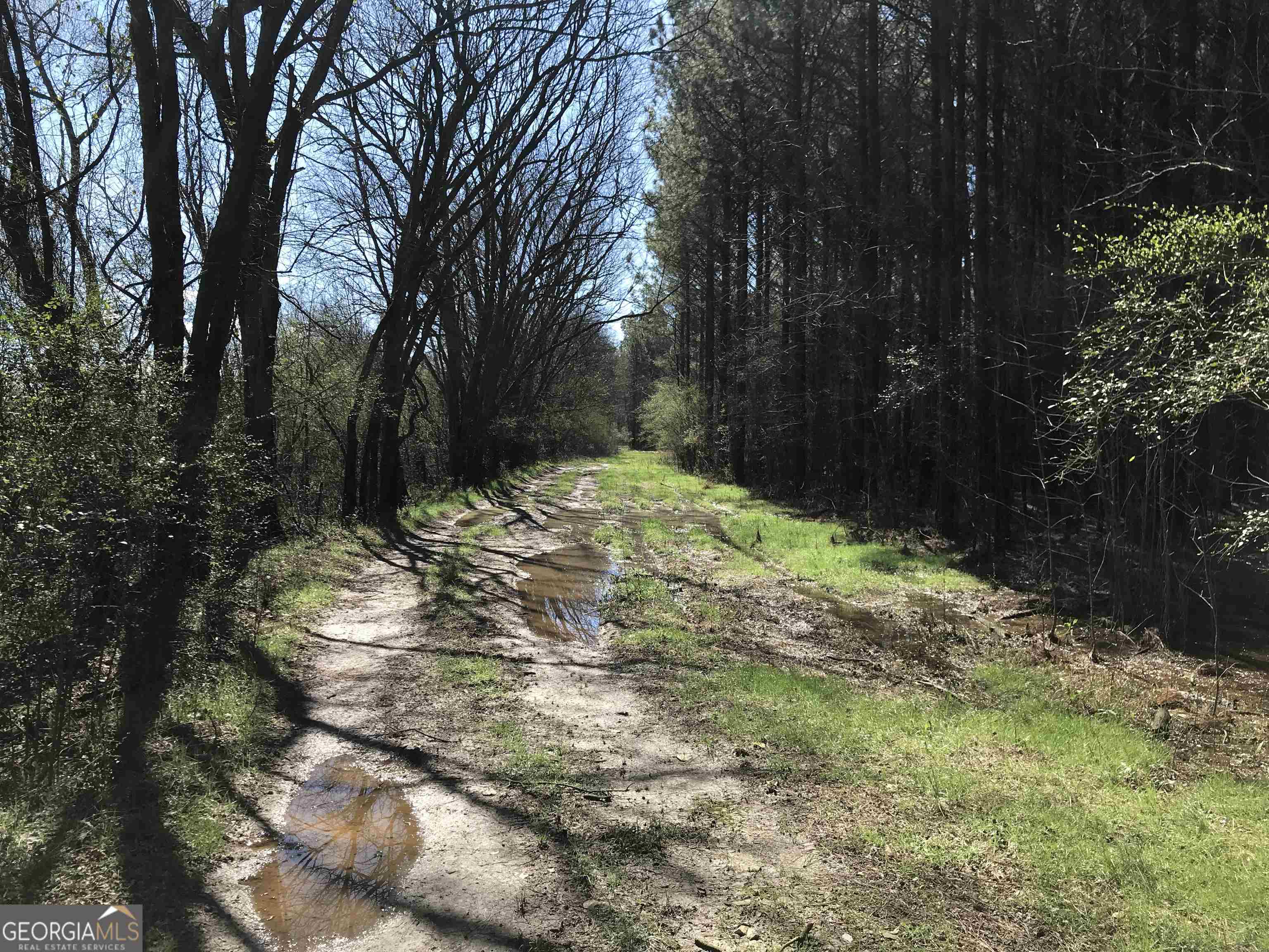 0 Covington Bridge Road, Unit 9619 Fairmount, GA 30701 - Photo 8 of 29