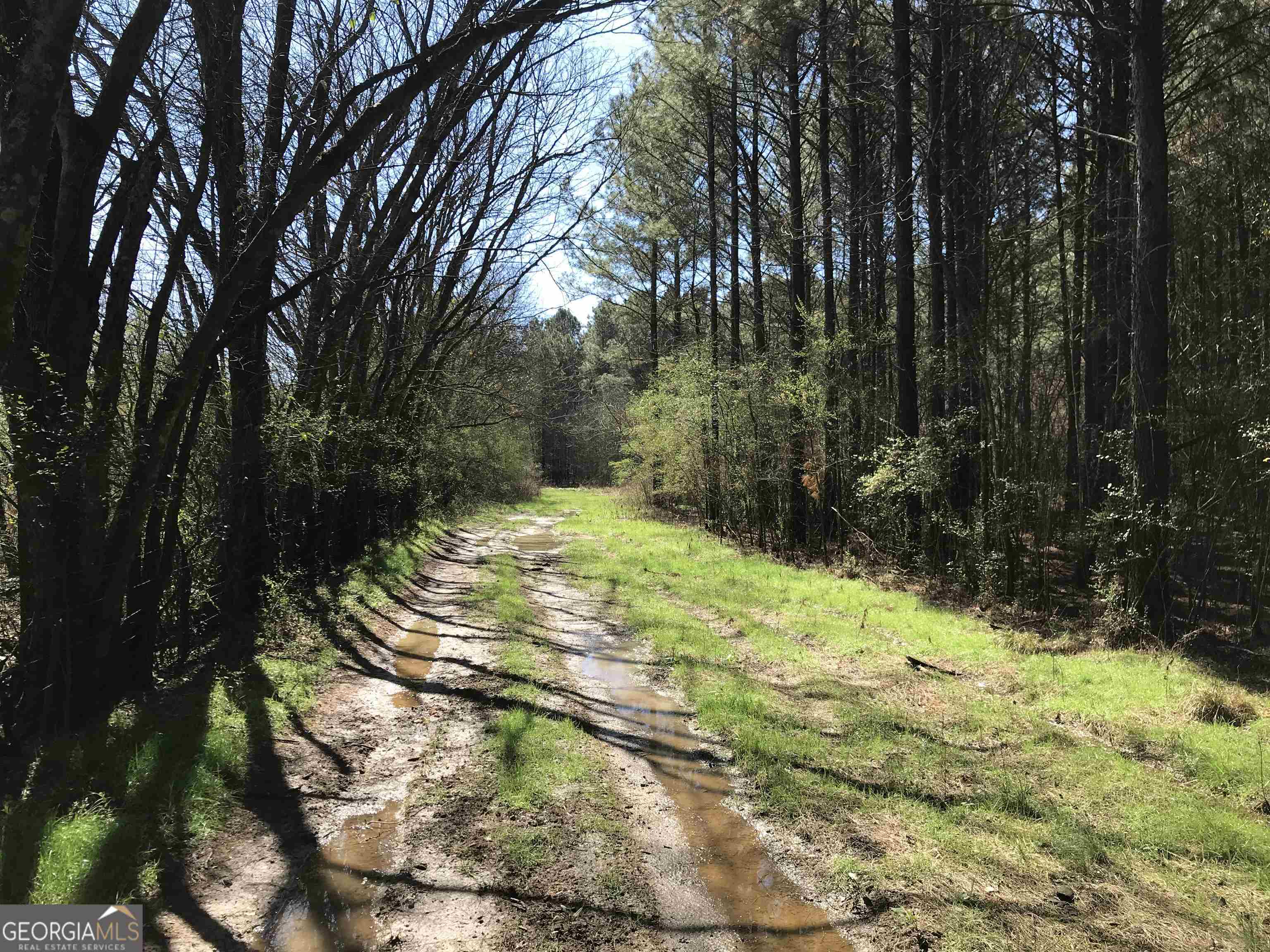 0 Covington Bridge Road, Unit 9619 Fairmount, GA 30701 - Photo 9 of 29