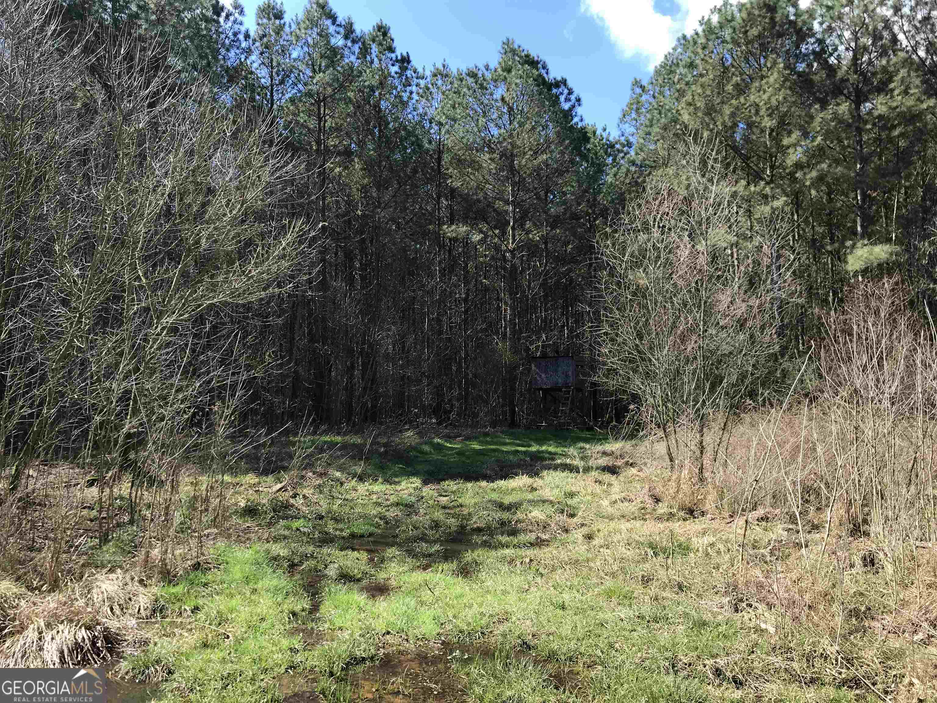 0 Covington Bridge Road, Unit 9619 Fairmount, GA 30701 - Photo 10 of 29