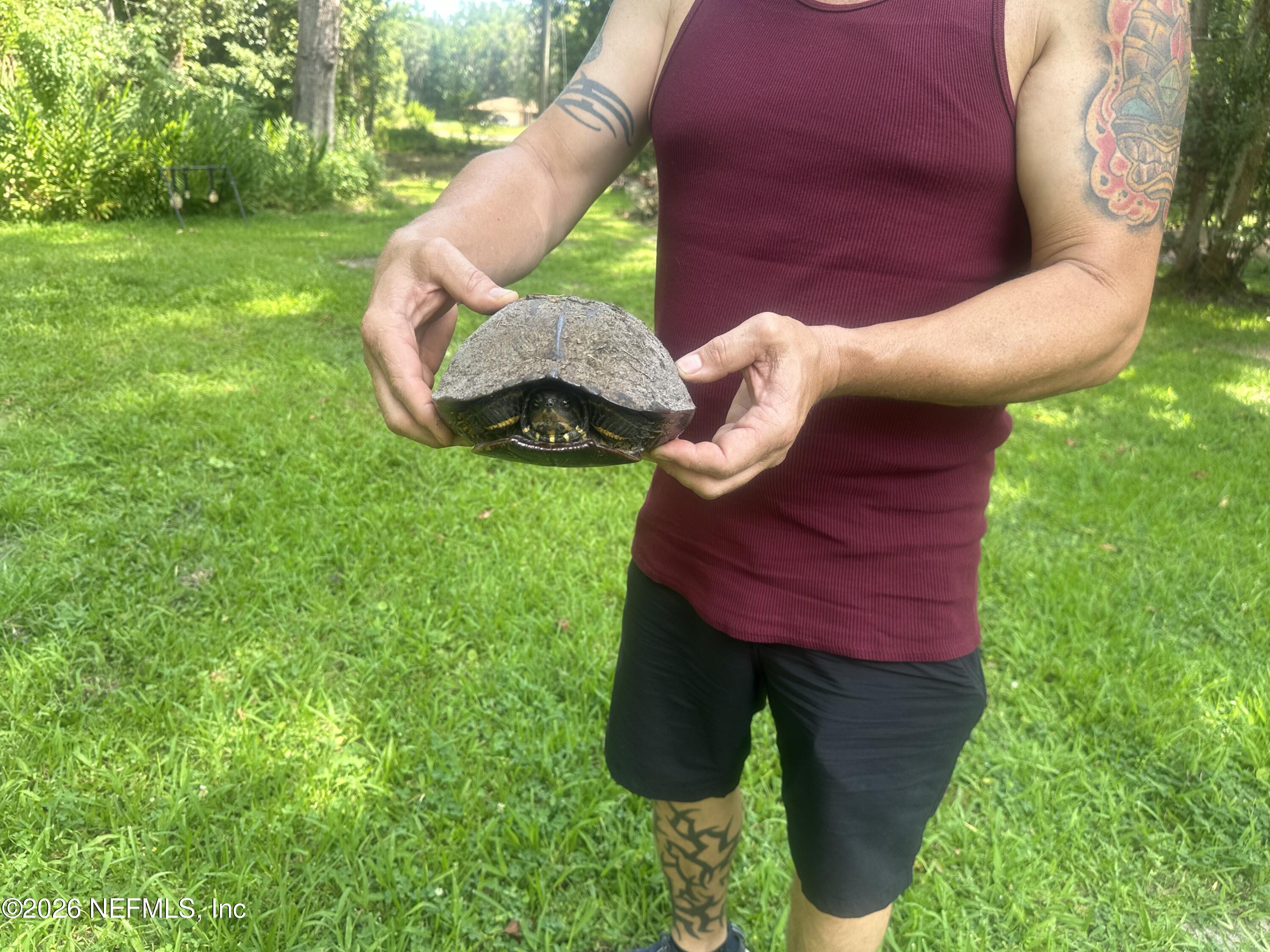 3084 Joe Johns Road Middleburg, FL 32068 - Photo 52 of 52 a view of a yard