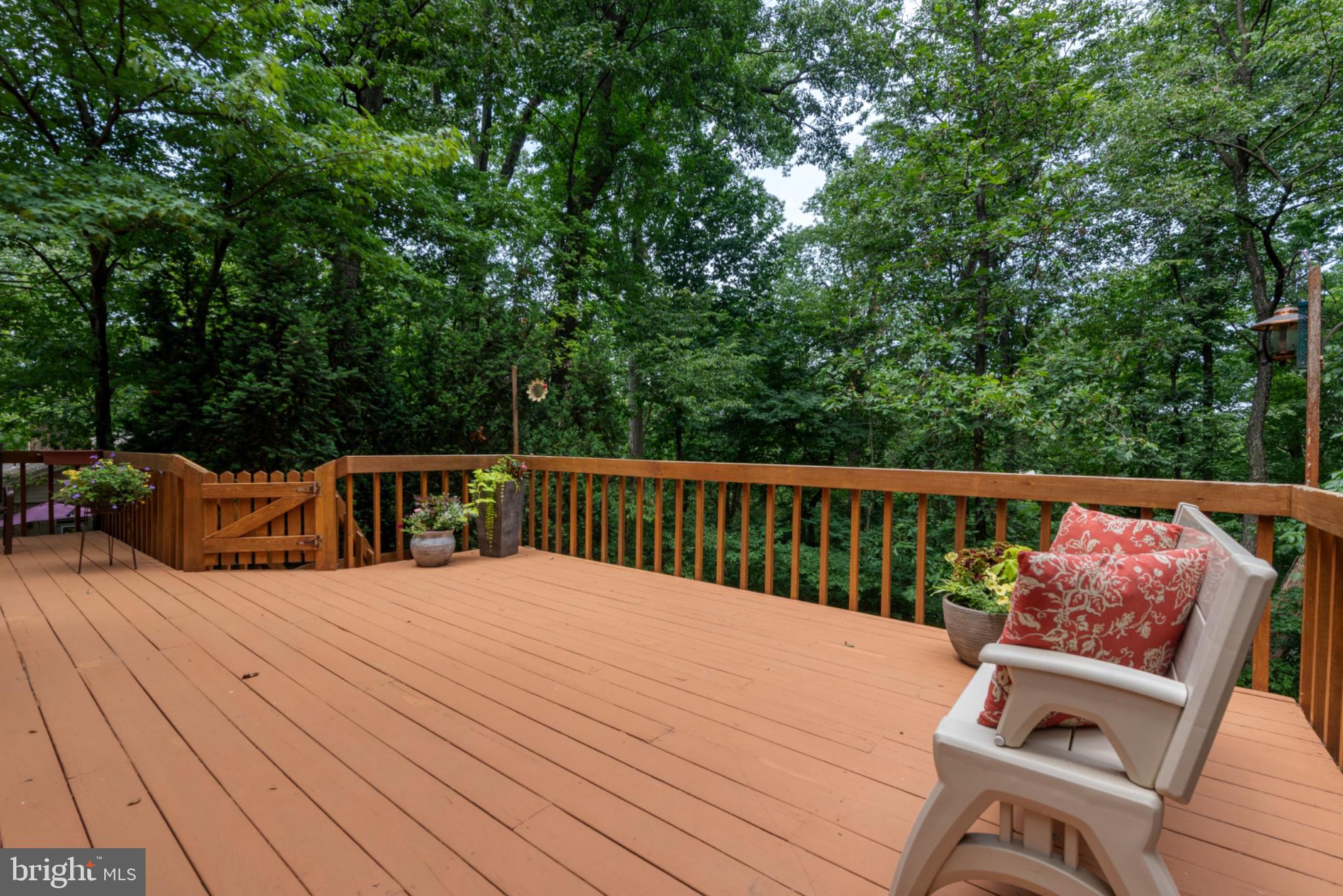 2861 Spring Valley Road Lancaster, PA 17601 - Photo 38 of 59 Serene deck nestled in lush greenery.