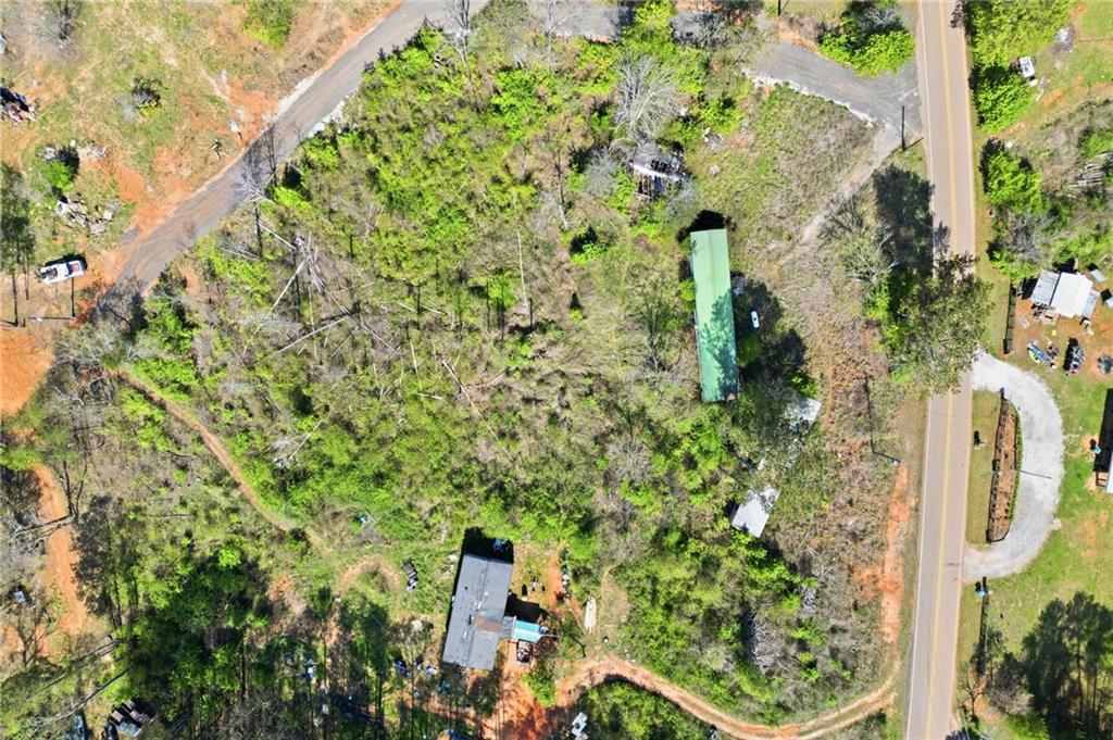 17 Line Crest Drive Ball Ground, GA 30107 - Photo 11 of 18 view of a garden with plants