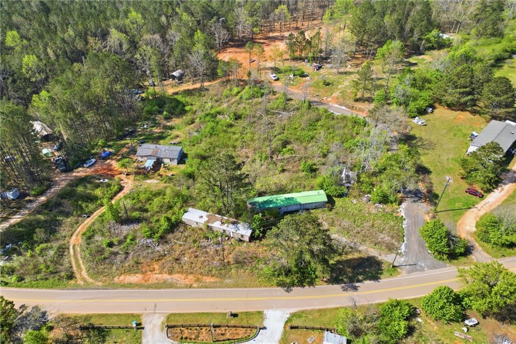 17 Line Crest Drive Ball Ground, GA 30107 - Photo 8 of 18 a view of a garden with a tree