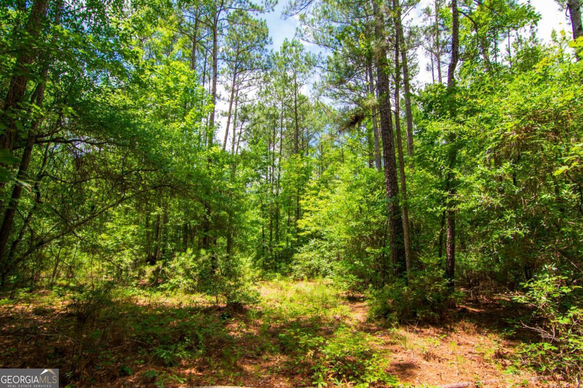 0 White Road Pine Mountain, GA 31822 - Photo 15 of 22 Gallery Image 15