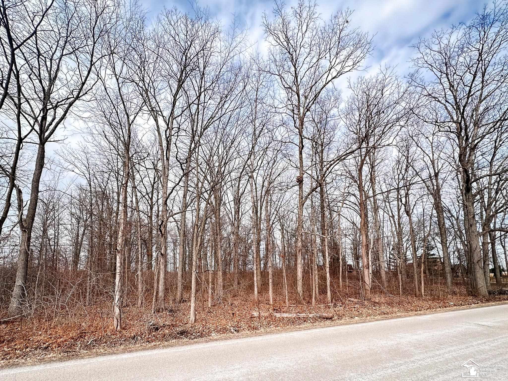 0 Toben Road Carleton, MI 48117 - Photo 3 of 6