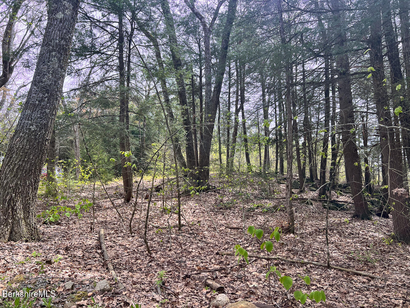 58 Stanley Road East Otis, MA 01029 - Photo 5 of 14 a backyard of a house with lots of green space