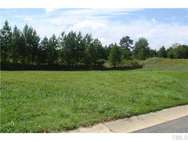 Carriage Oaks Drive Raleigh, NC 27614 - Photo 2 of 3 a view of a field with trees in the background