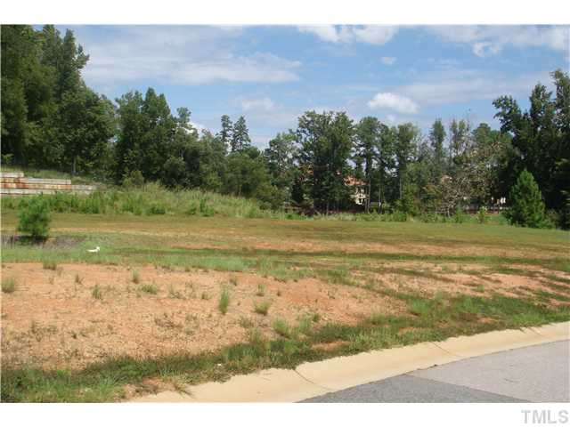Carriage Oaks Drive Raleigh, NC 27614 - Photo 3 of 3 a view of a yard