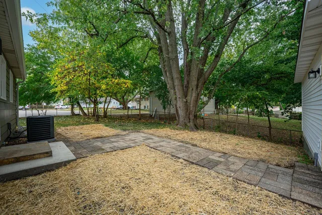 a view of a yard with plants and trees