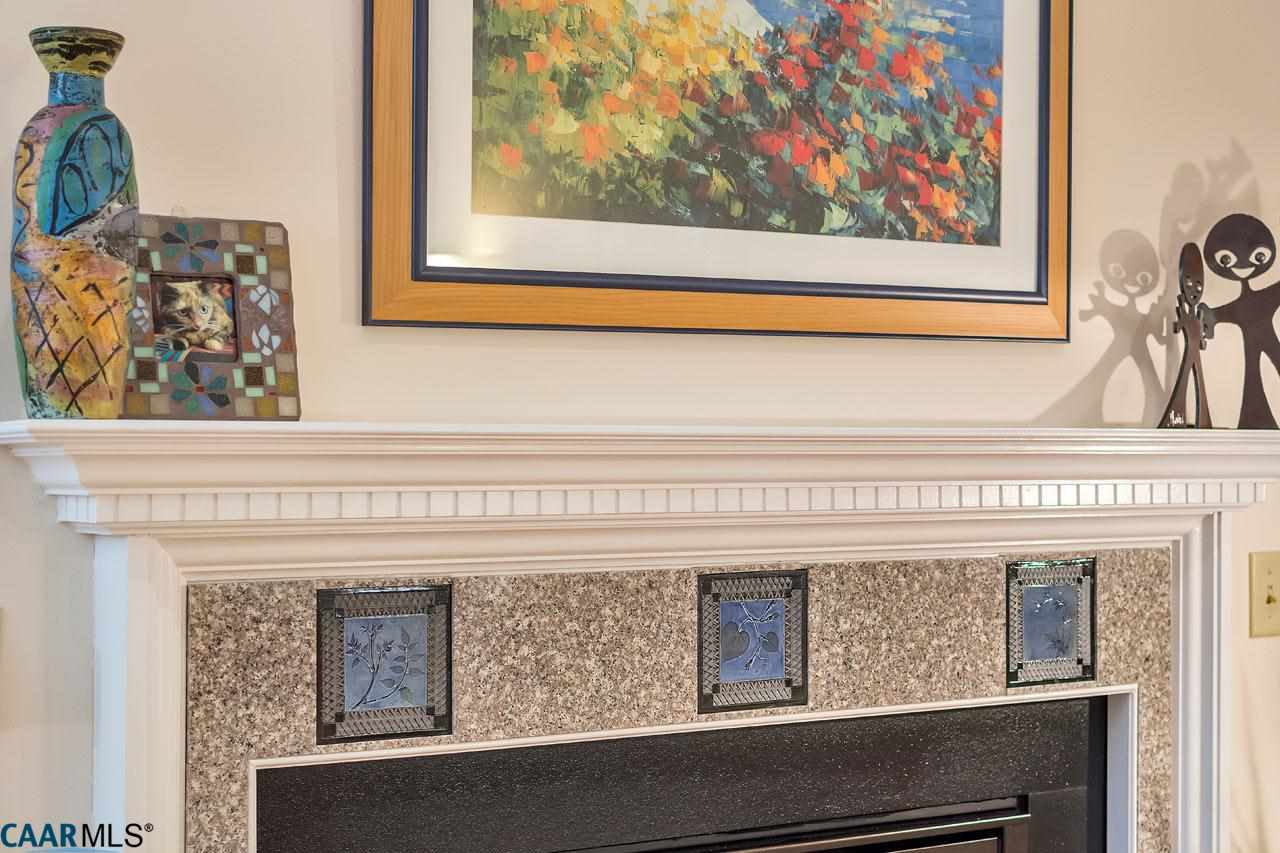 2313 Sheffield Road Charlottesville, VA 22901 - Photo 23 of 50 Gallery Image 23
