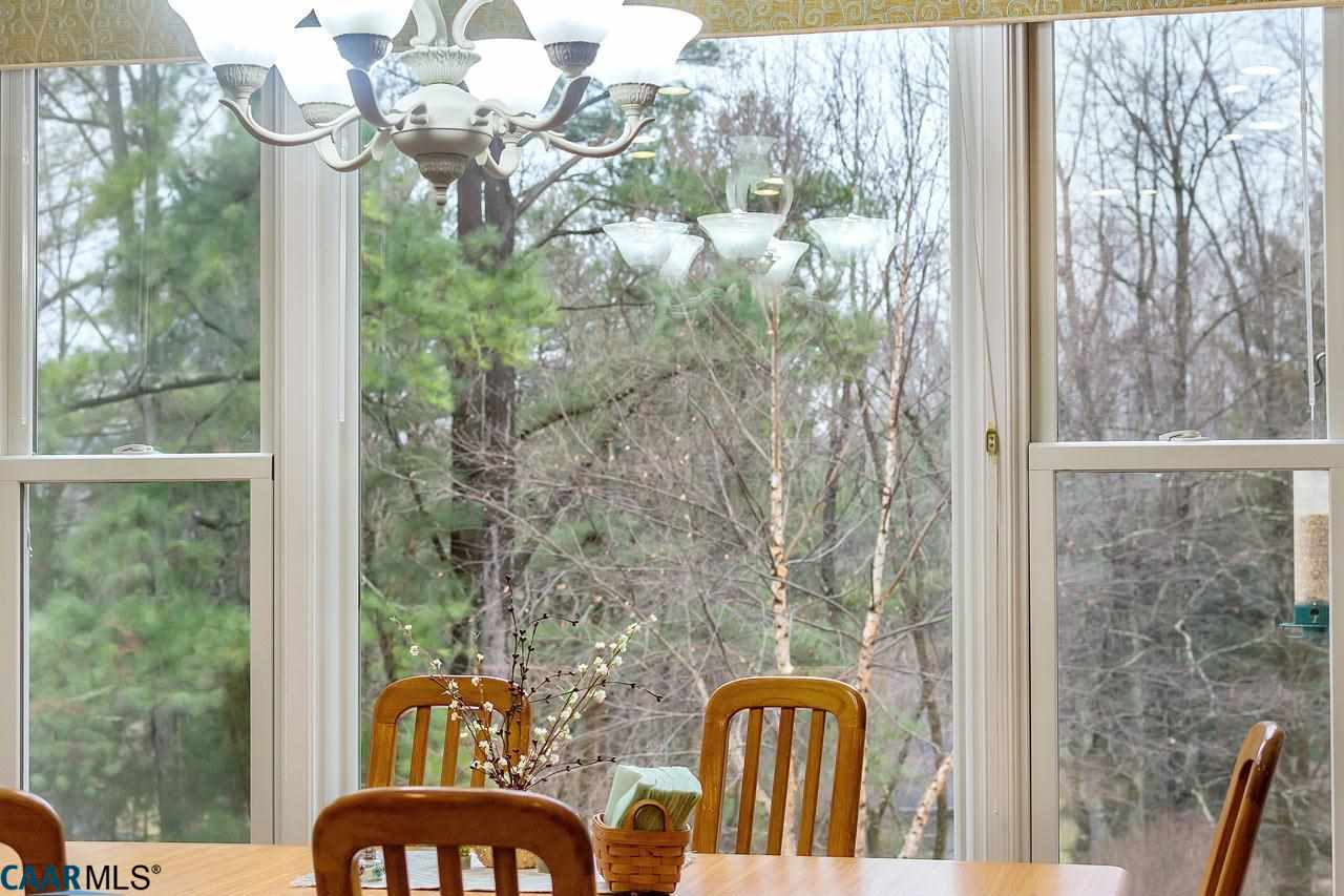 2313 Sheffield Road Charlottesville, VA 22901 - Photo 38 of 50 Gallery Image 38