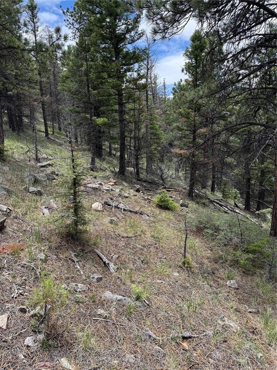 Knotty Pine Road Salida, CO 81201 - Photo 19 of 42 Gallery Image 19