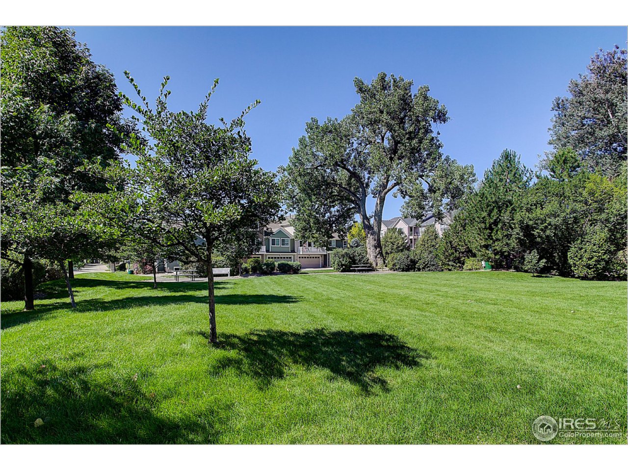 4501 Nelson Road, Unit 2504 Longmont, CO 80503 - Photo 20 of 21 Love where you live!