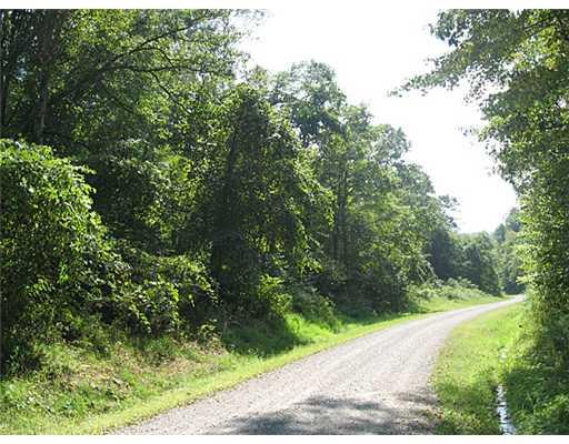 Dever Hollow Road Templeton, PA 16259 - Photo 1 of 2 Land/Lot.