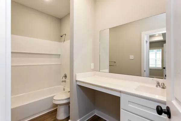 a bathroom with a sink a toilet and a bathtub