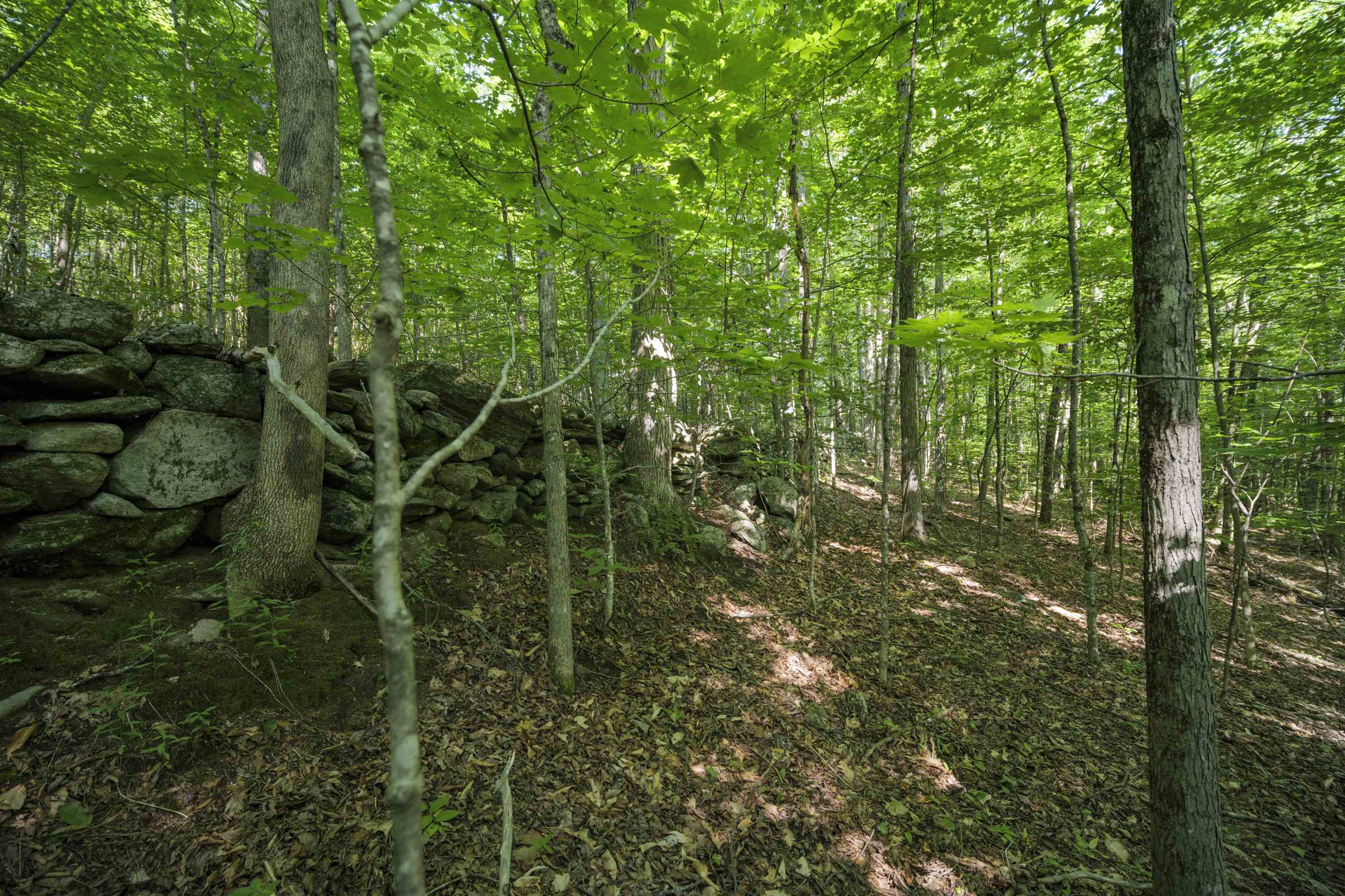 0 Howe Farm Road Jamaica, VT 05343 - Photo 13 of 25
