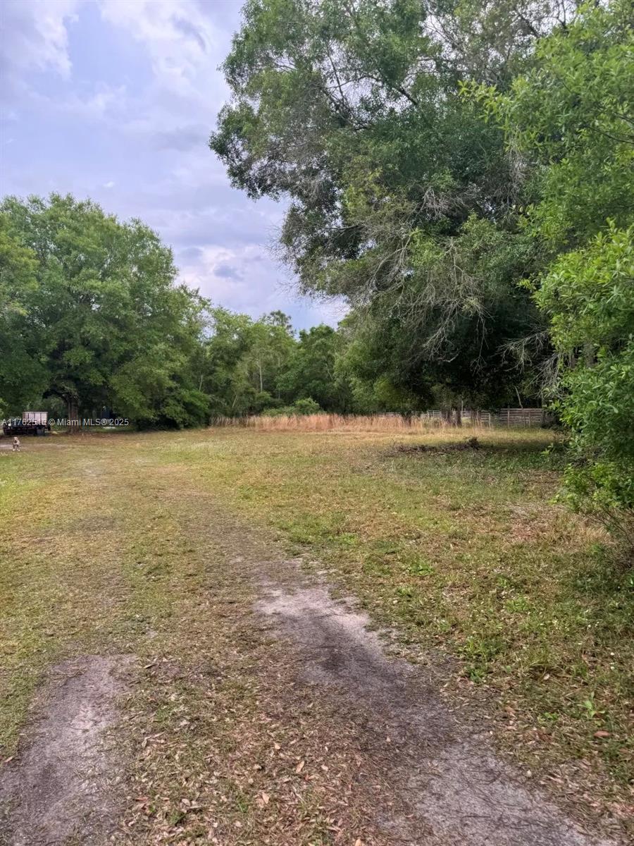 North Okeechobee Okeechobee, FL 34972 - Photo 4 of 5